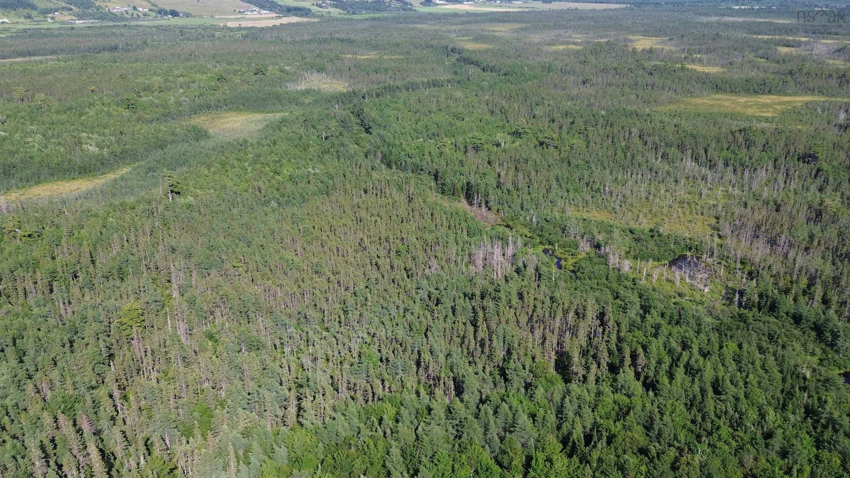 $80,000.00: Acreage Highway 105, Kingsville