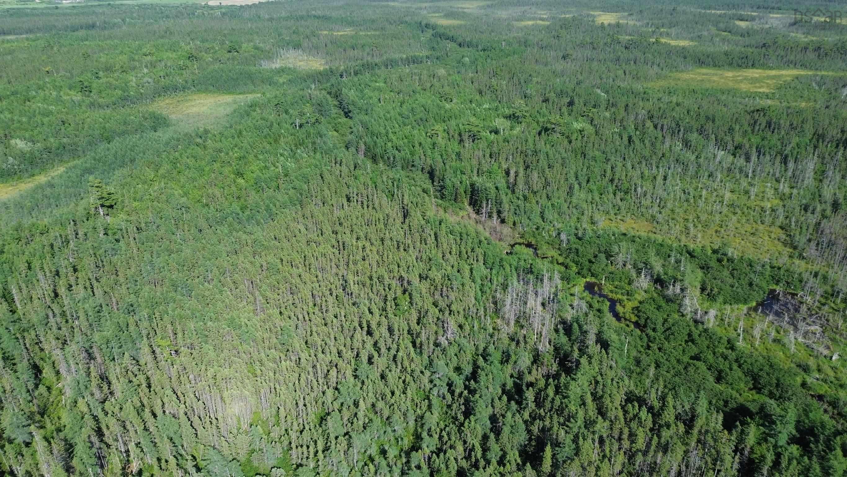 $80,000.00: Acreage Highway 105, Kingsville