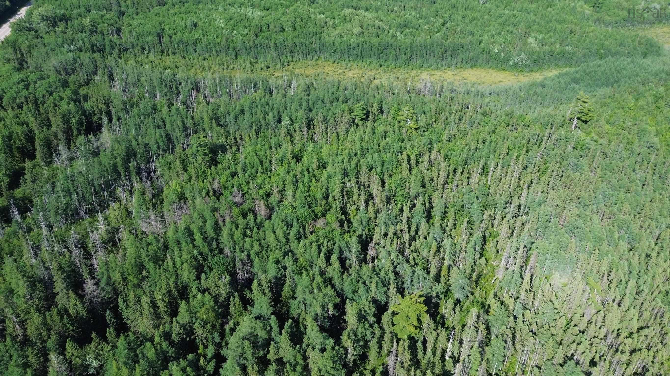 $80,000.00: Acreage Highway 105, Kingsville