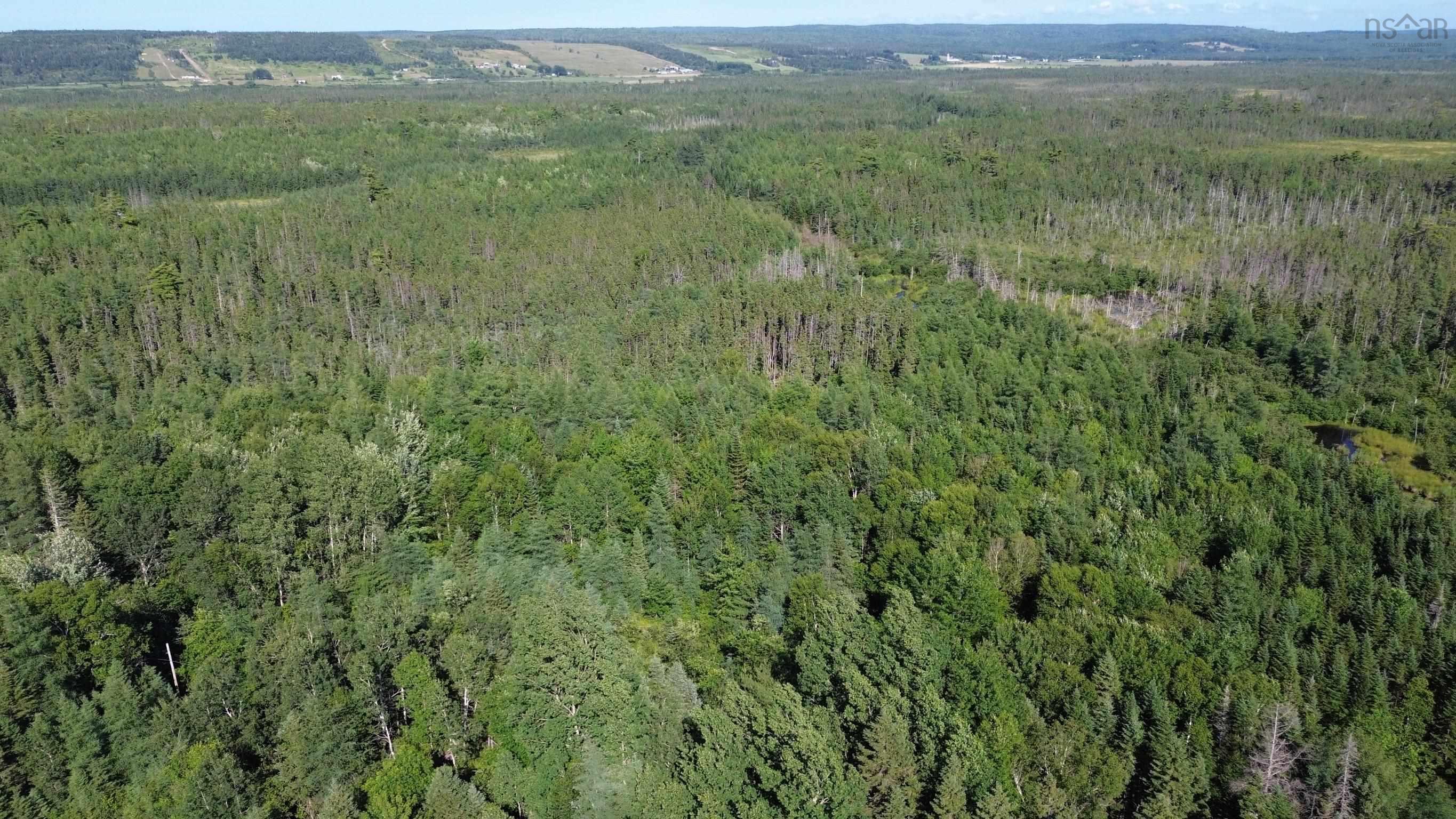 $80,000.00: Acreage Highway 105, Kingsville