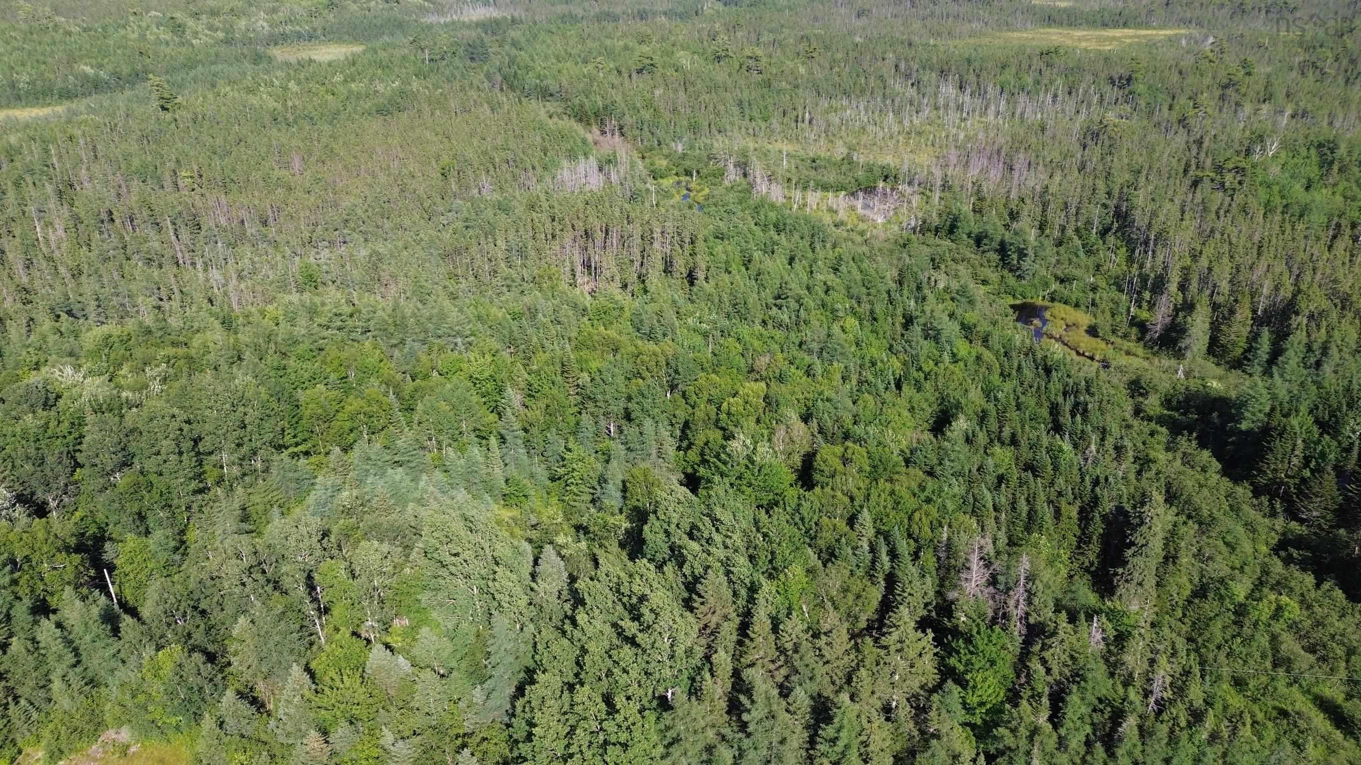 $80,000.00: Acreage Highway 105, Kingsville