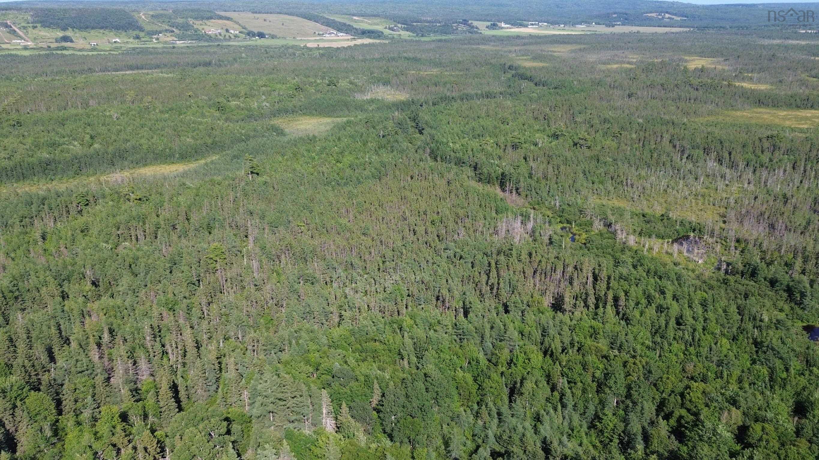 $80,000.00: Acreage Highway 105, Kingsville