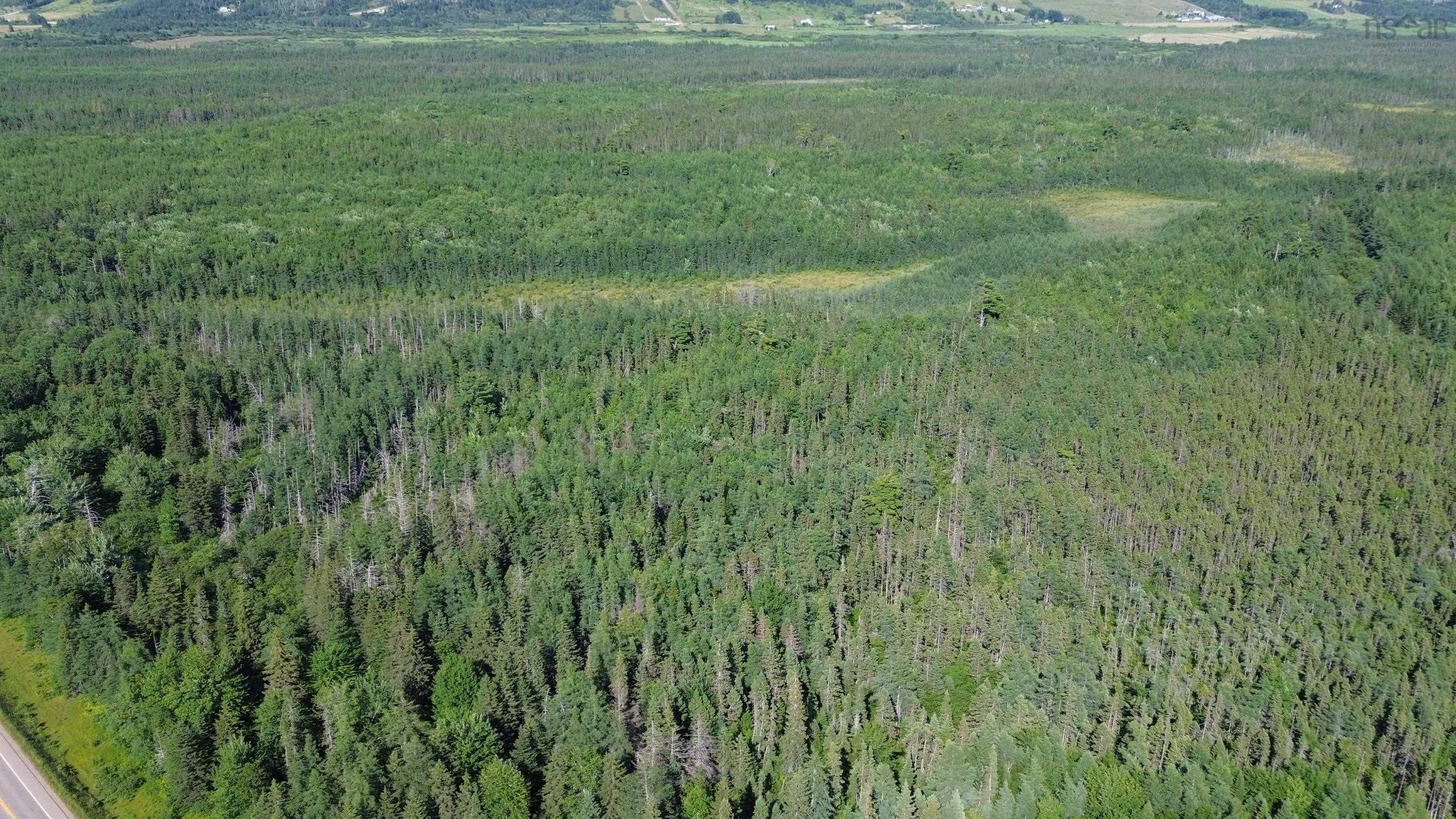 $80,000.00: Acreage Highway 105, Kingsville
