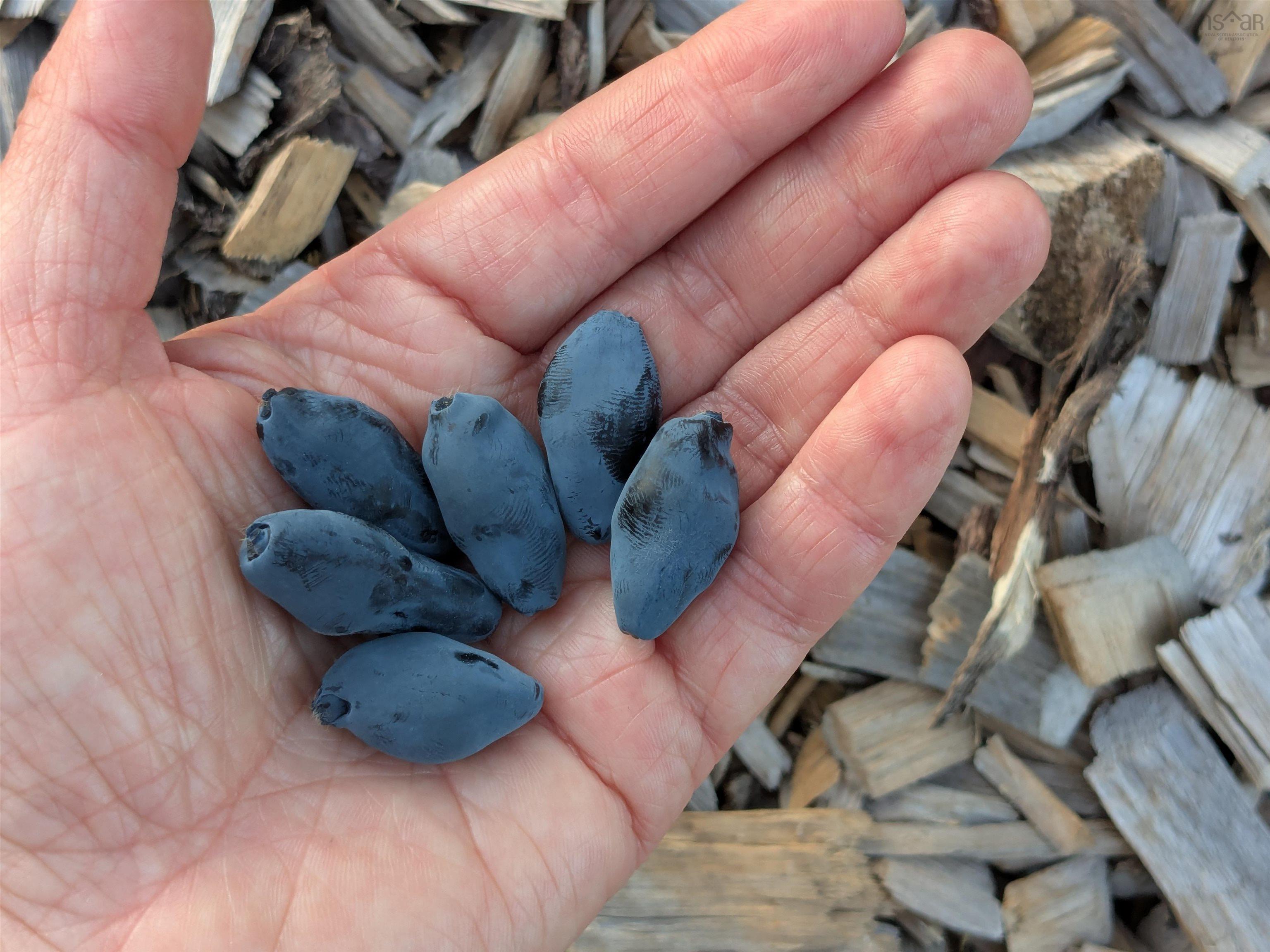 $399,900.00: 28 Mines Road, Upper Falmouth