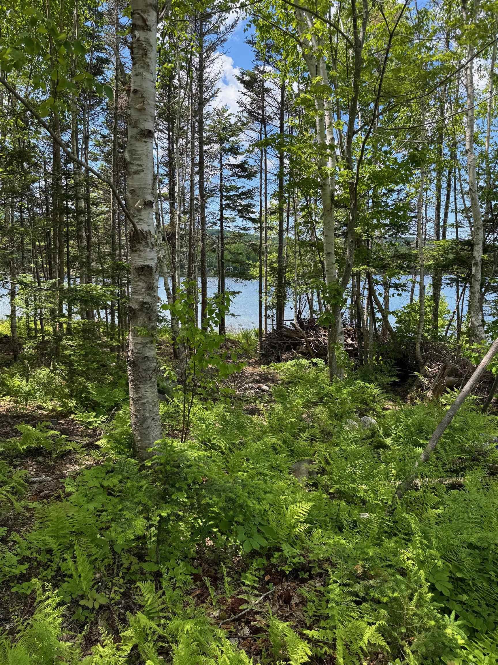 $590,000.00: 284 Rodney Drive, Militia Point