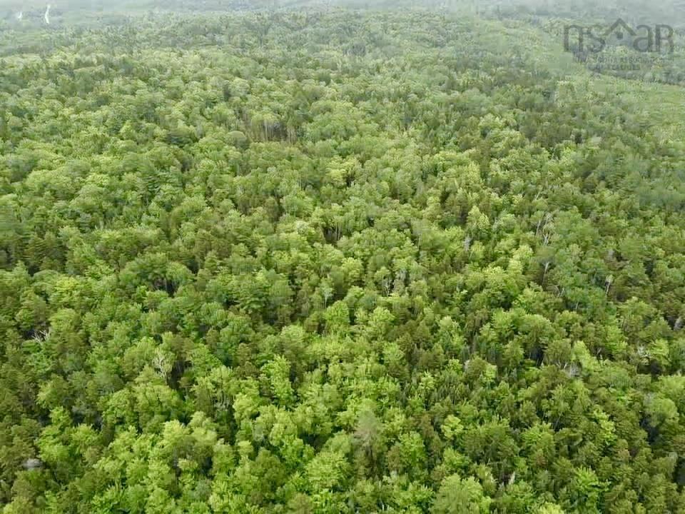 $150,000.00: Bog Road, Mount Denson