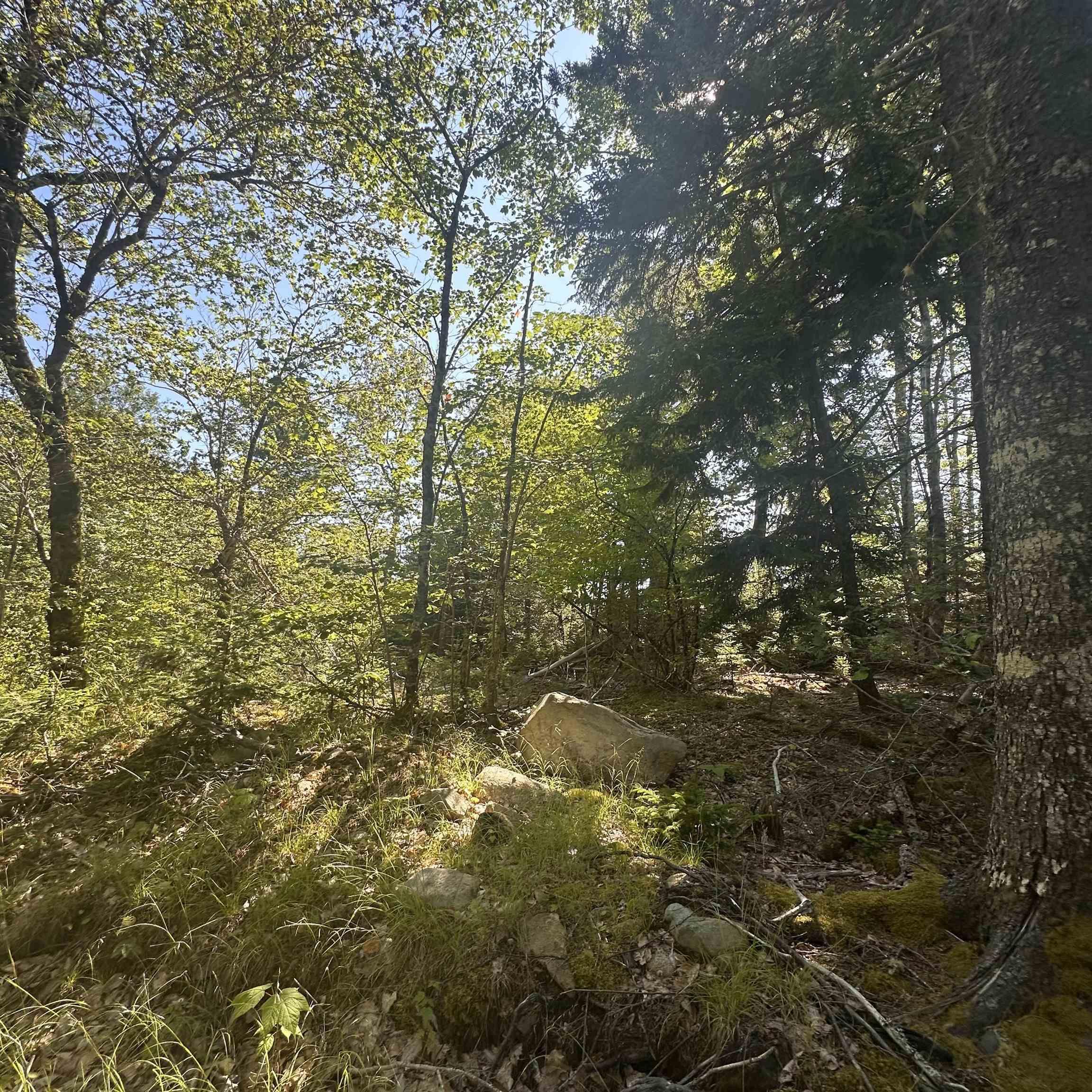 $49,000.00: Lot PID 70241864 Wellington Road, Buckfield