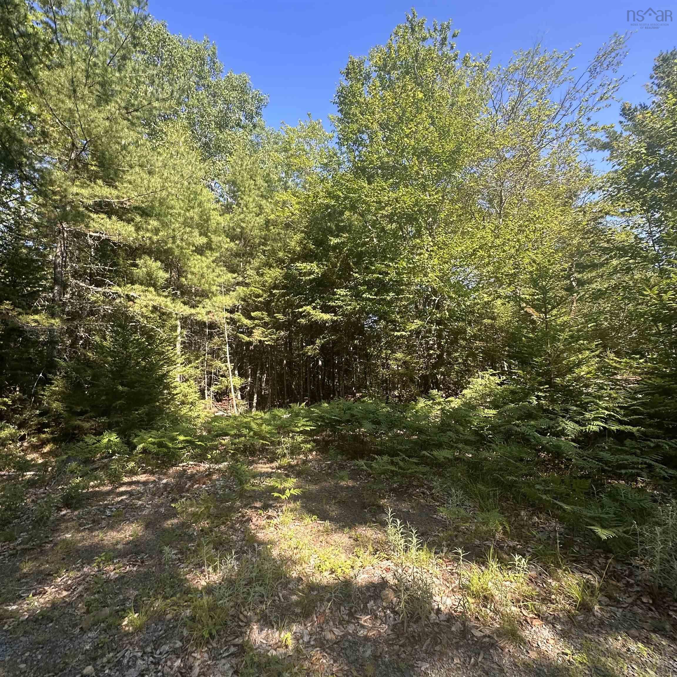$49,000.00: Lot PID 70241864 Wellington Road, Buckfield