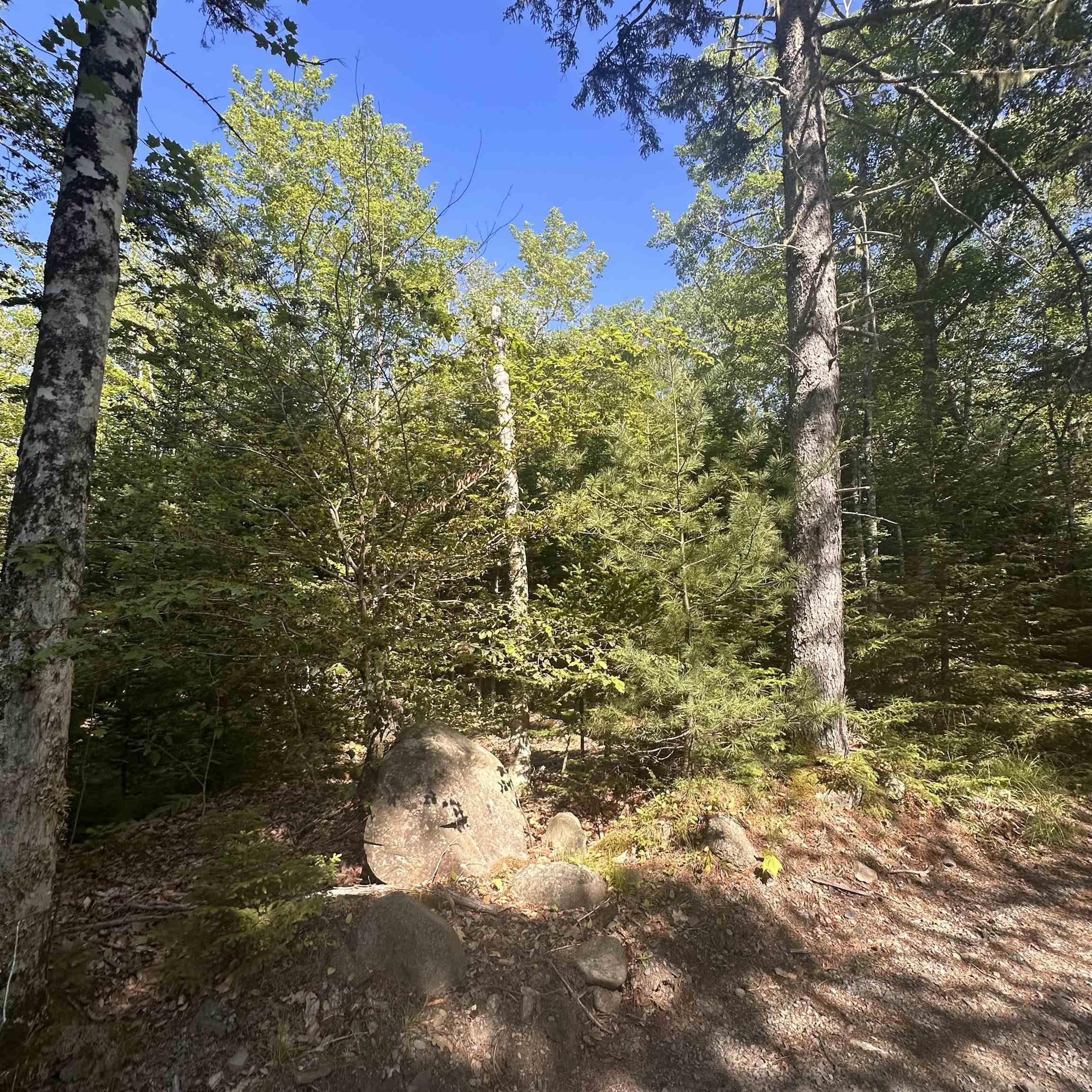 $49,000.00: Lot PID 70241864 Wellington Road, Buckfield