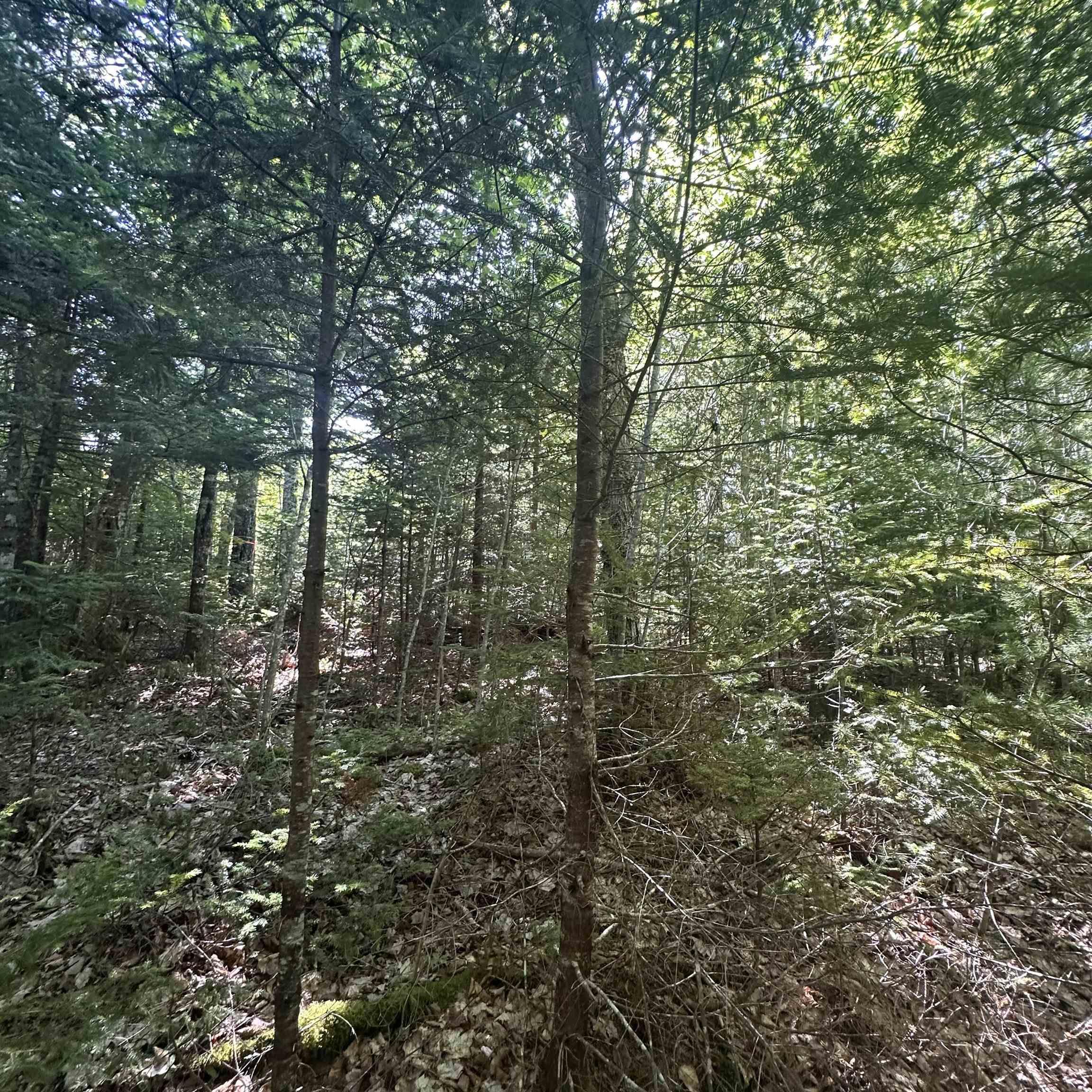 $49,000.00: Lot PID 70241864 Wellington Road, Buckfield