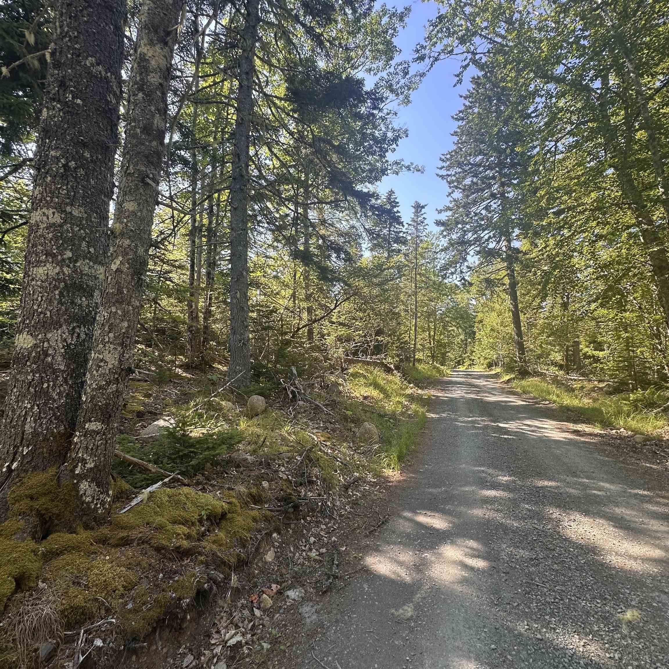 $49,000.00: Lot PID 70241864 Wellington Road, Buckfield