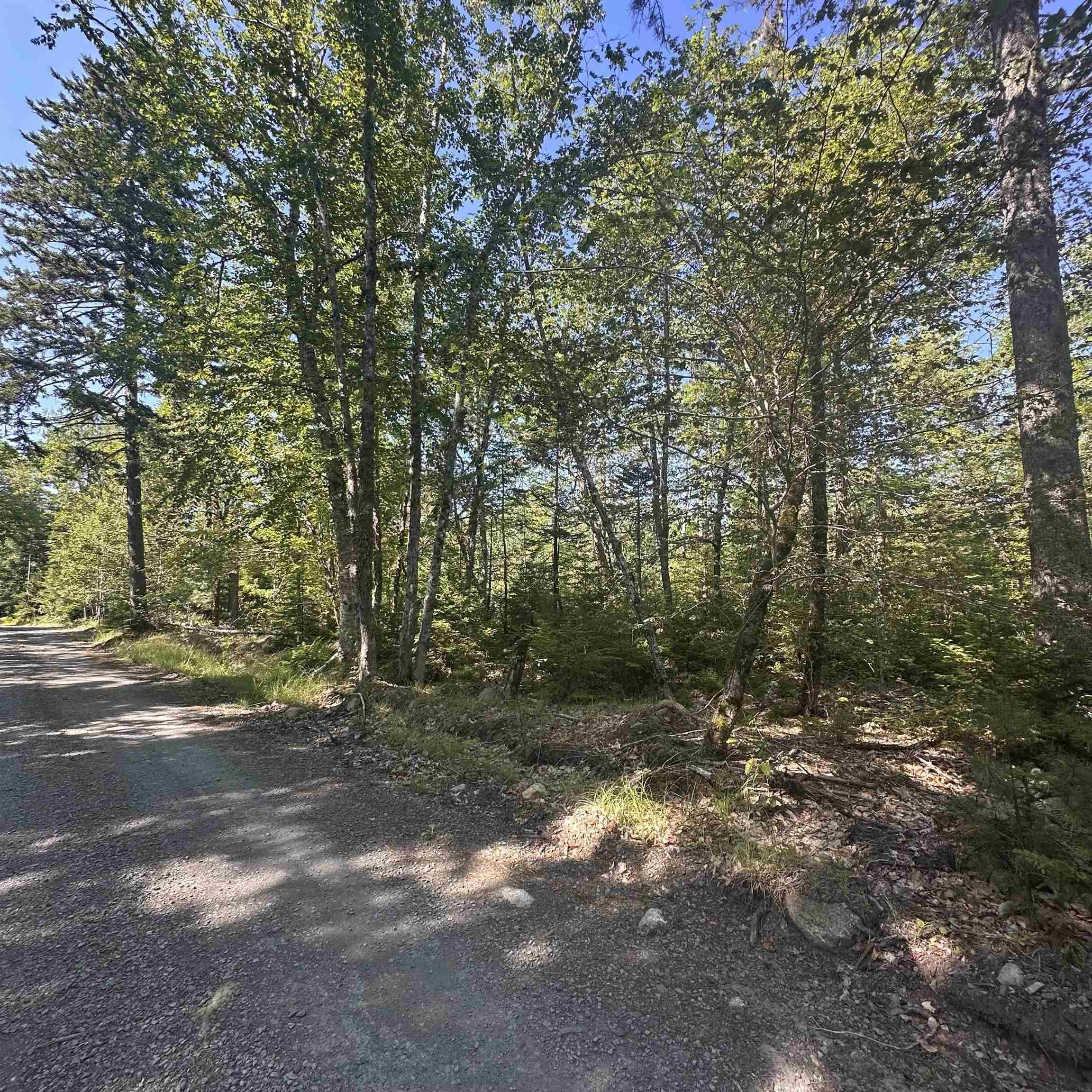 $49,000.00: Lot PID 70241864 Wellington Road, Buckfield