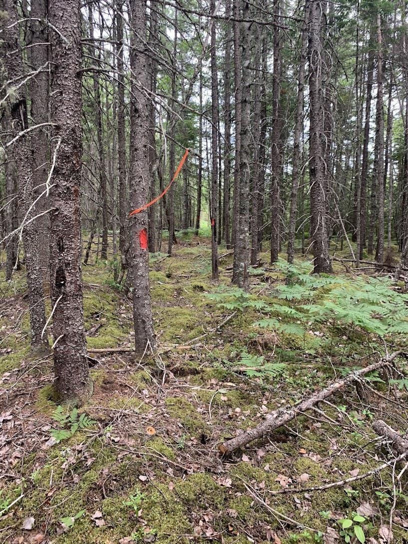 $74,000.00: VVR Lot 6 Hunter Road, West Wentworth