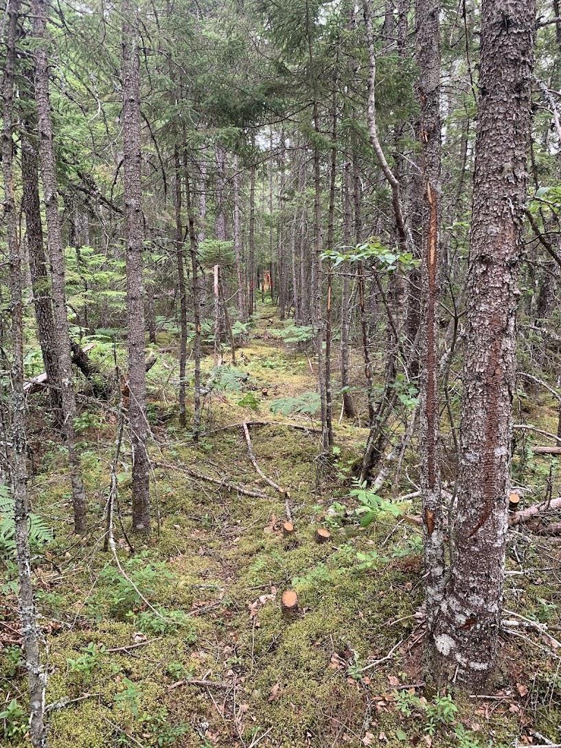 $74,000.00: VVR Lot 6 Hunter Road, West Wentworth