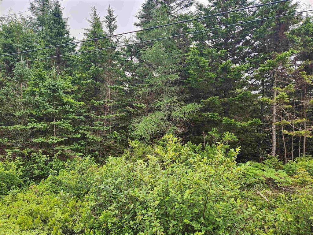 $199,900.00: Lots Highway 329, Blandford