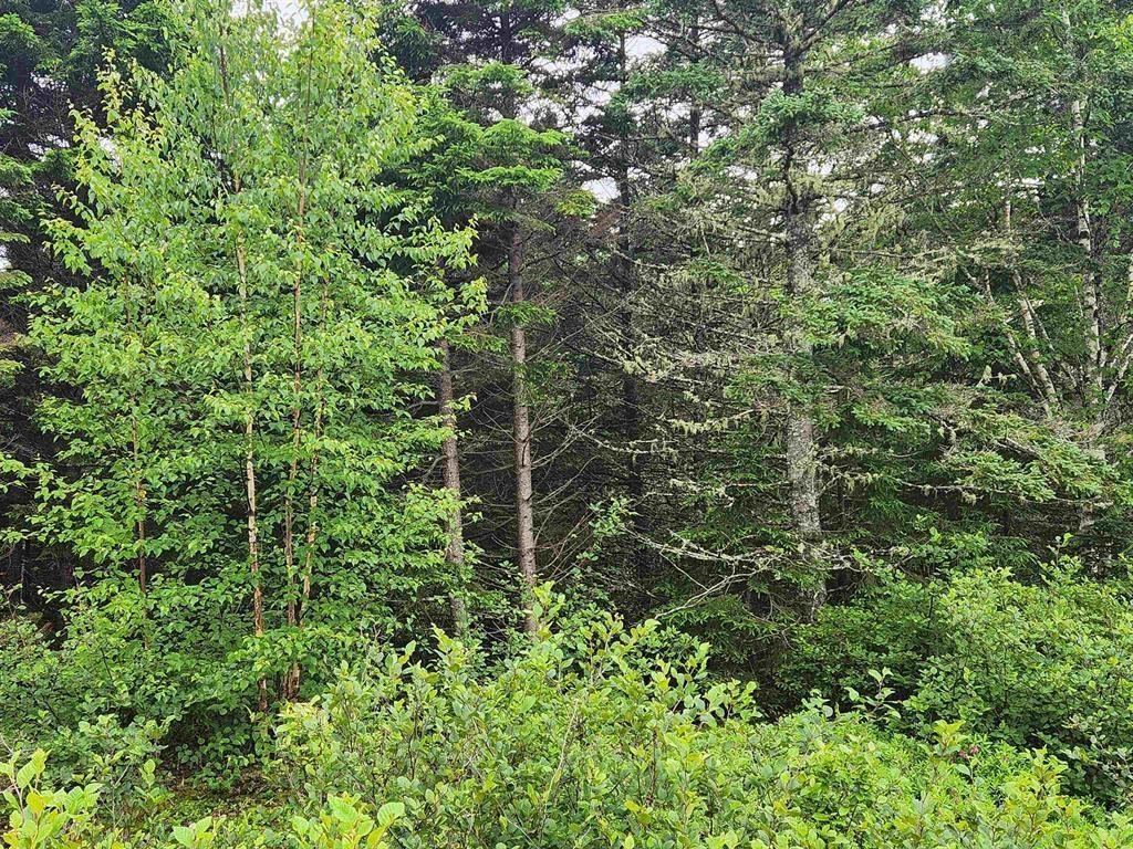 $199,900.00: Lots Highway 329, Blandford