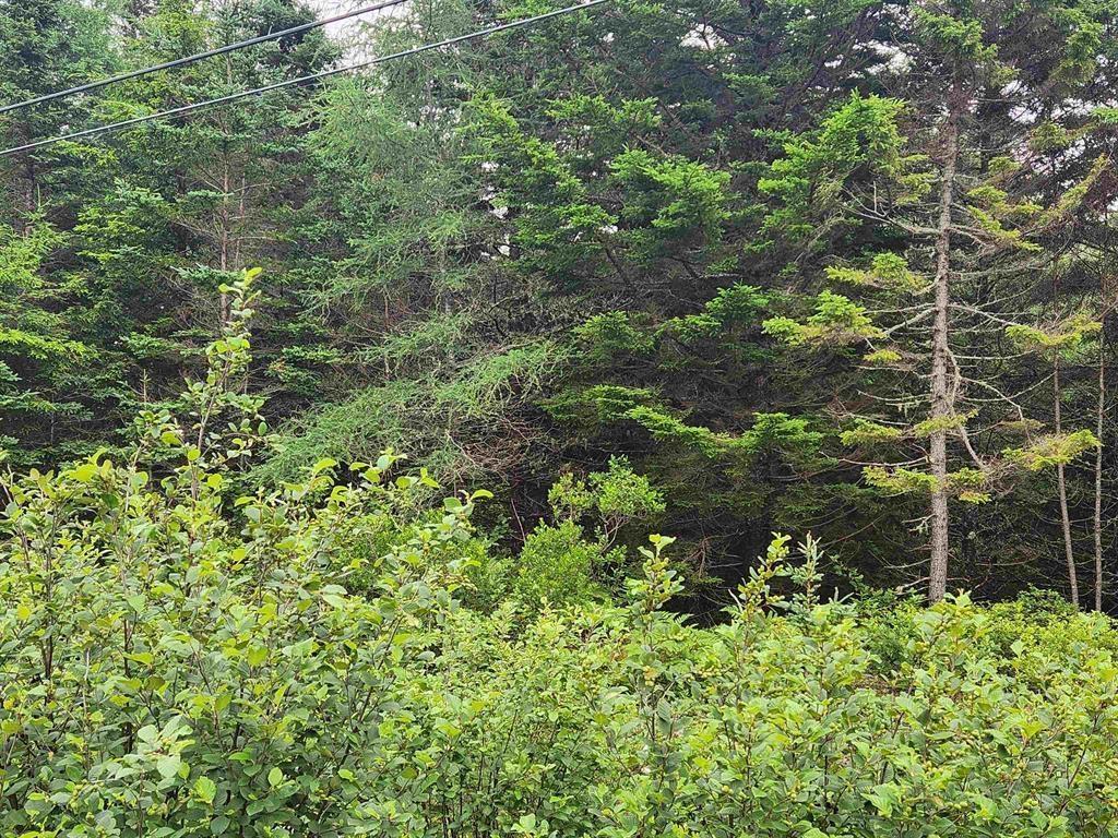 $199,900.00: Lots Highway 329, Blandford