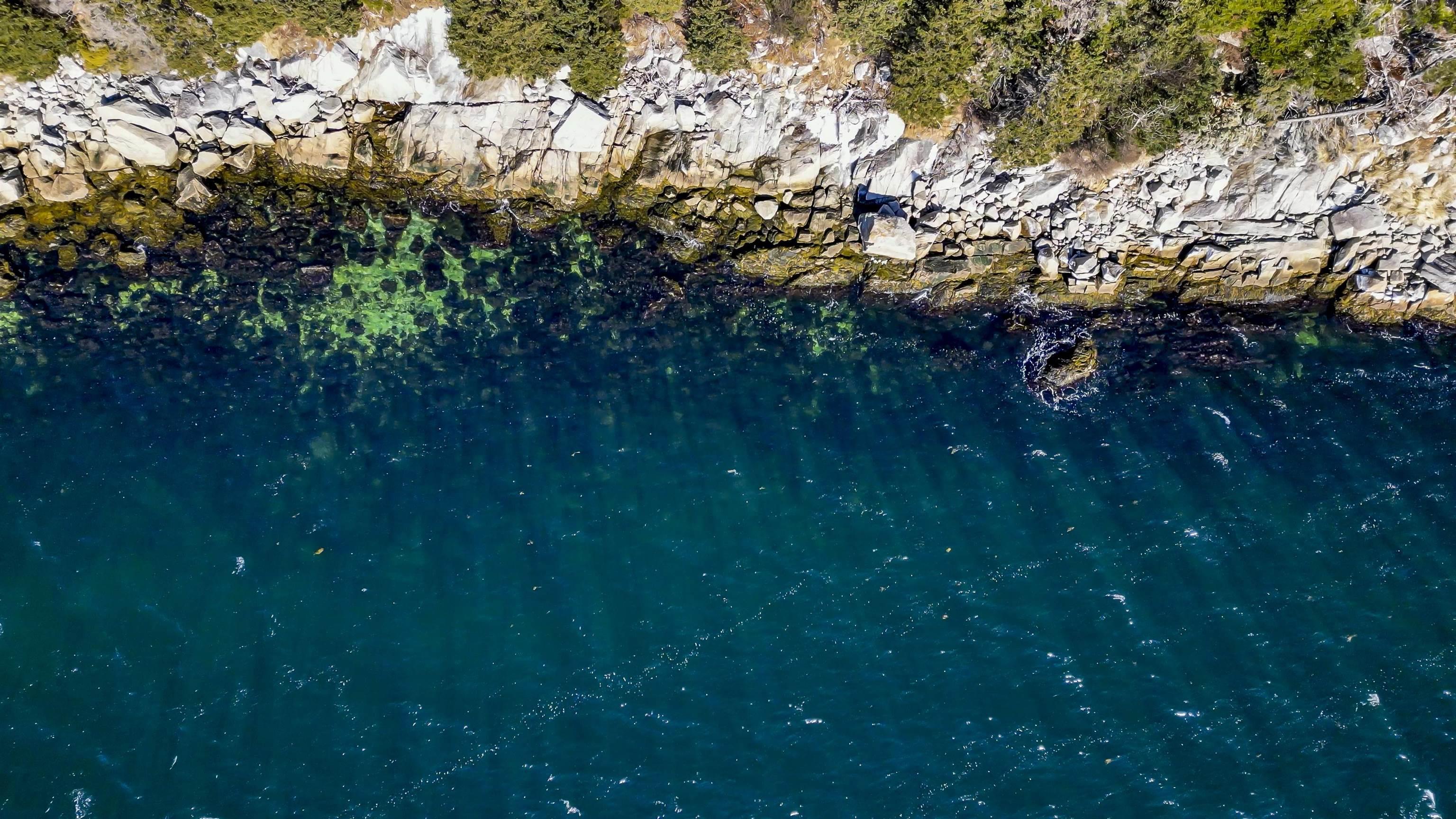 $2,867,000.00: Anchors Way, East River Point