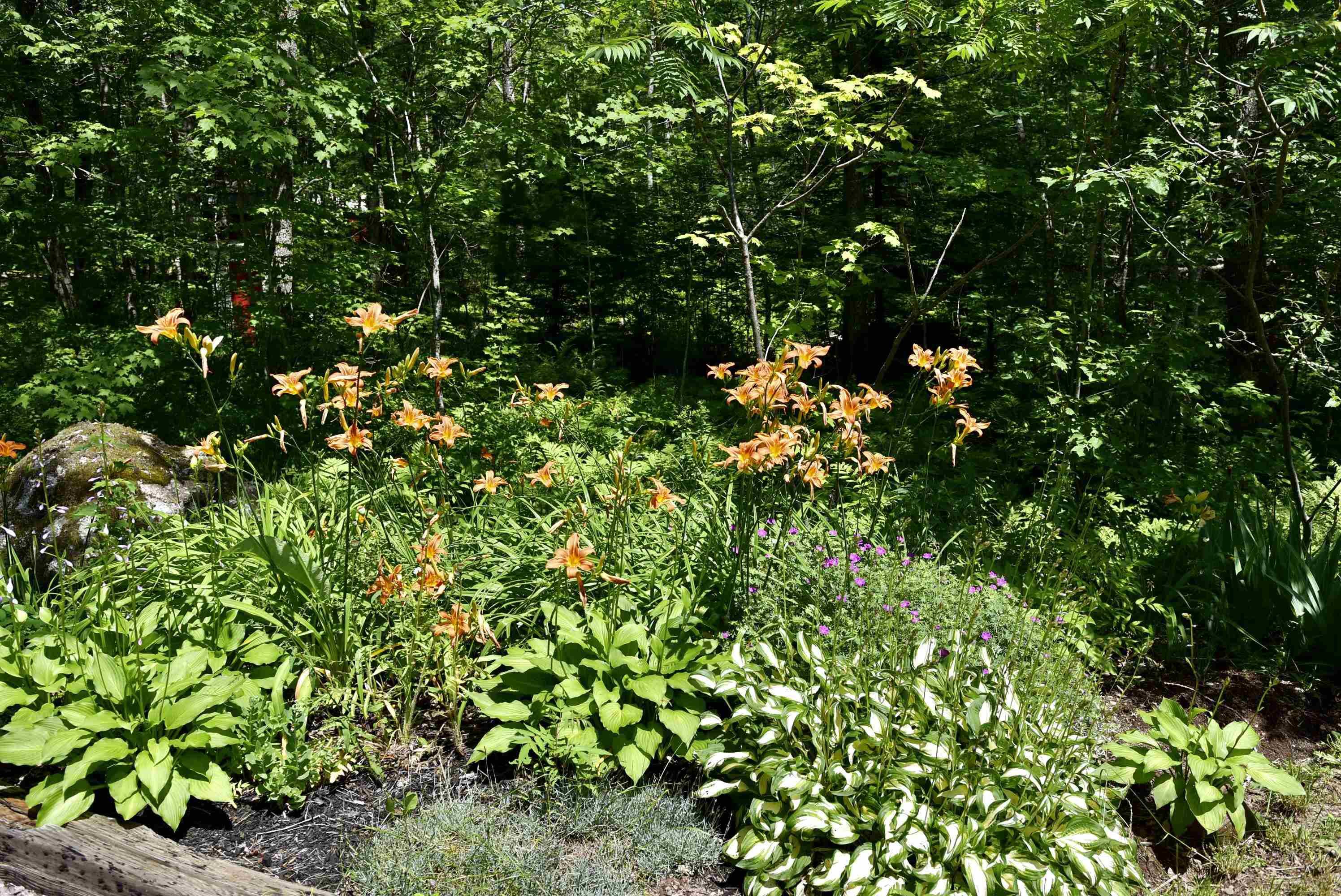 $425,000.00: 1401 Tree Line Drive, New Albany