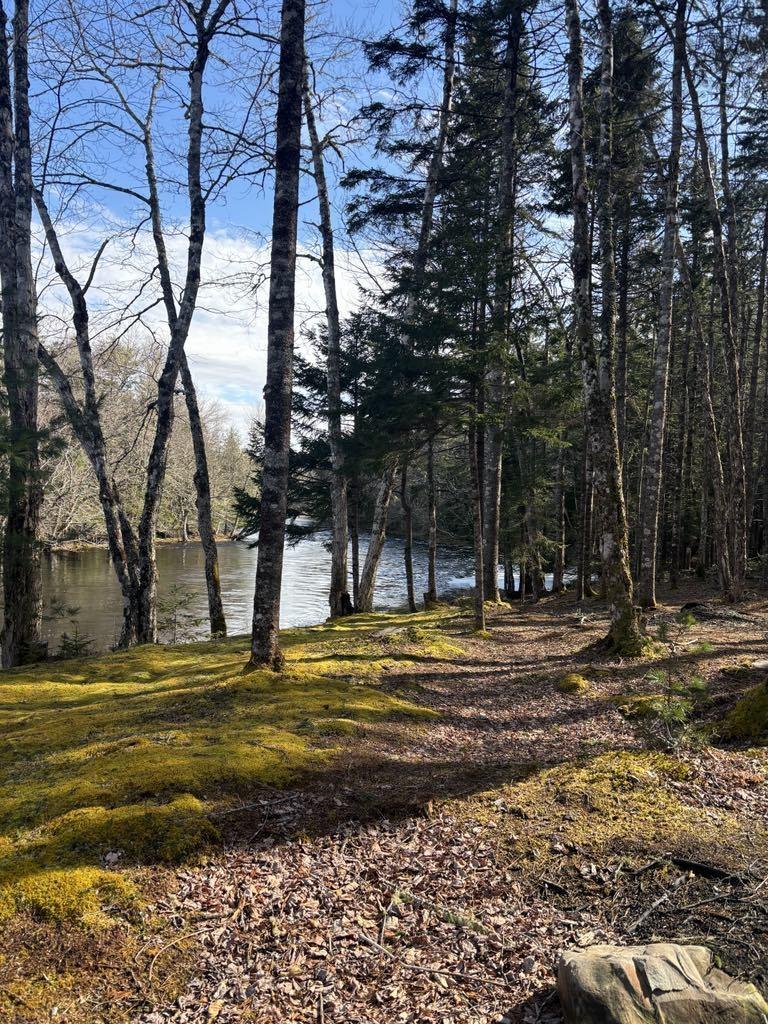 $425,000.00: 790 Depot Road, East Kemptville