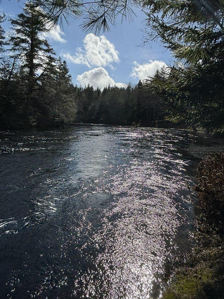 $425,000.00: 790 Depot Road, East Kemptville