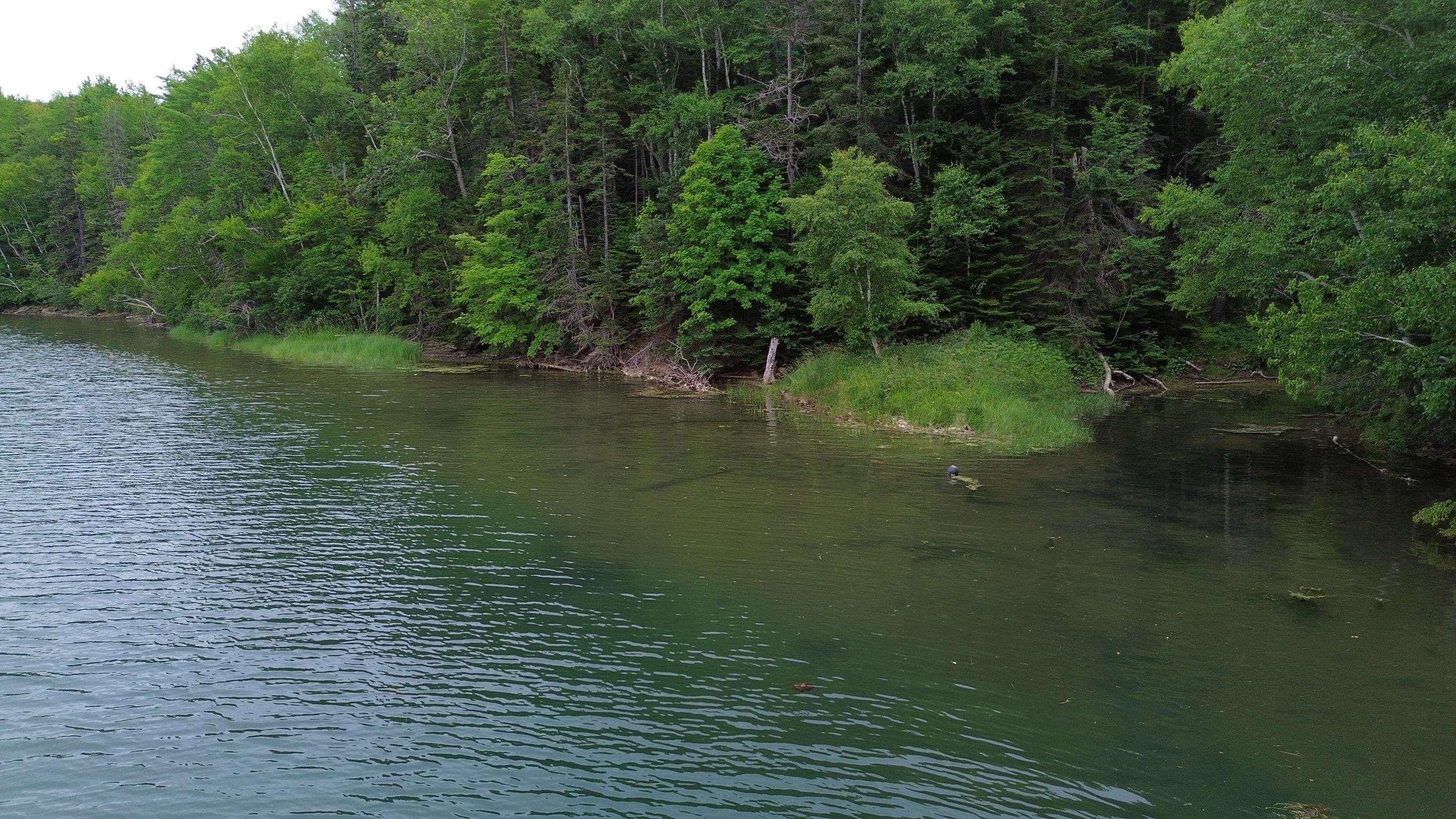 $599,000.00: 11420 Highway 19, Mabou