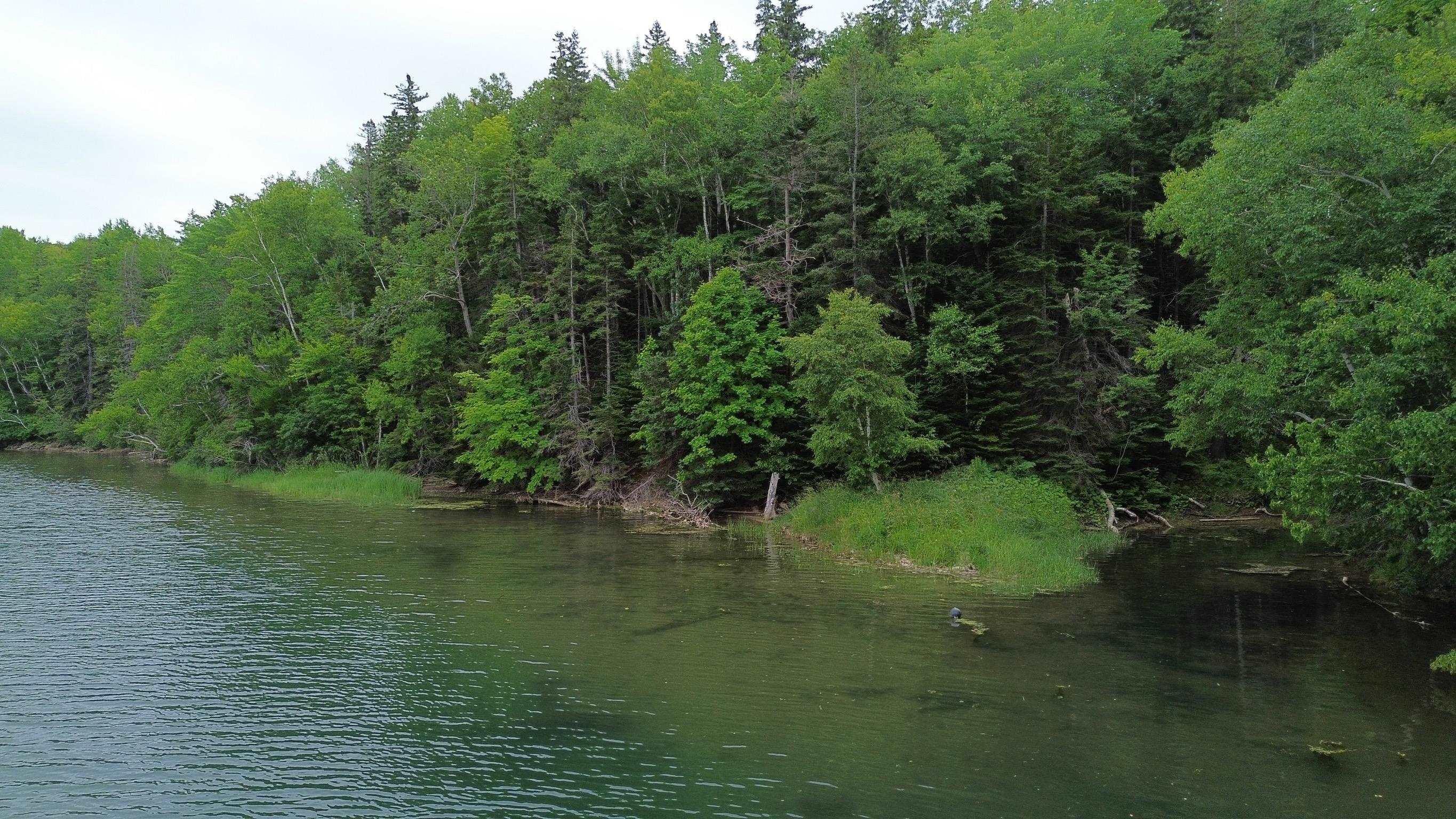 $599,000.00: 11420 Highway 19, Mabou