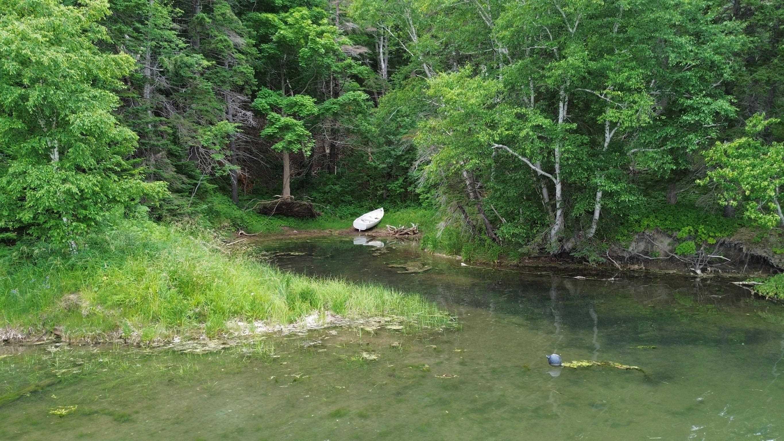 $599,000.00: 11420 Highway 19, Mabou