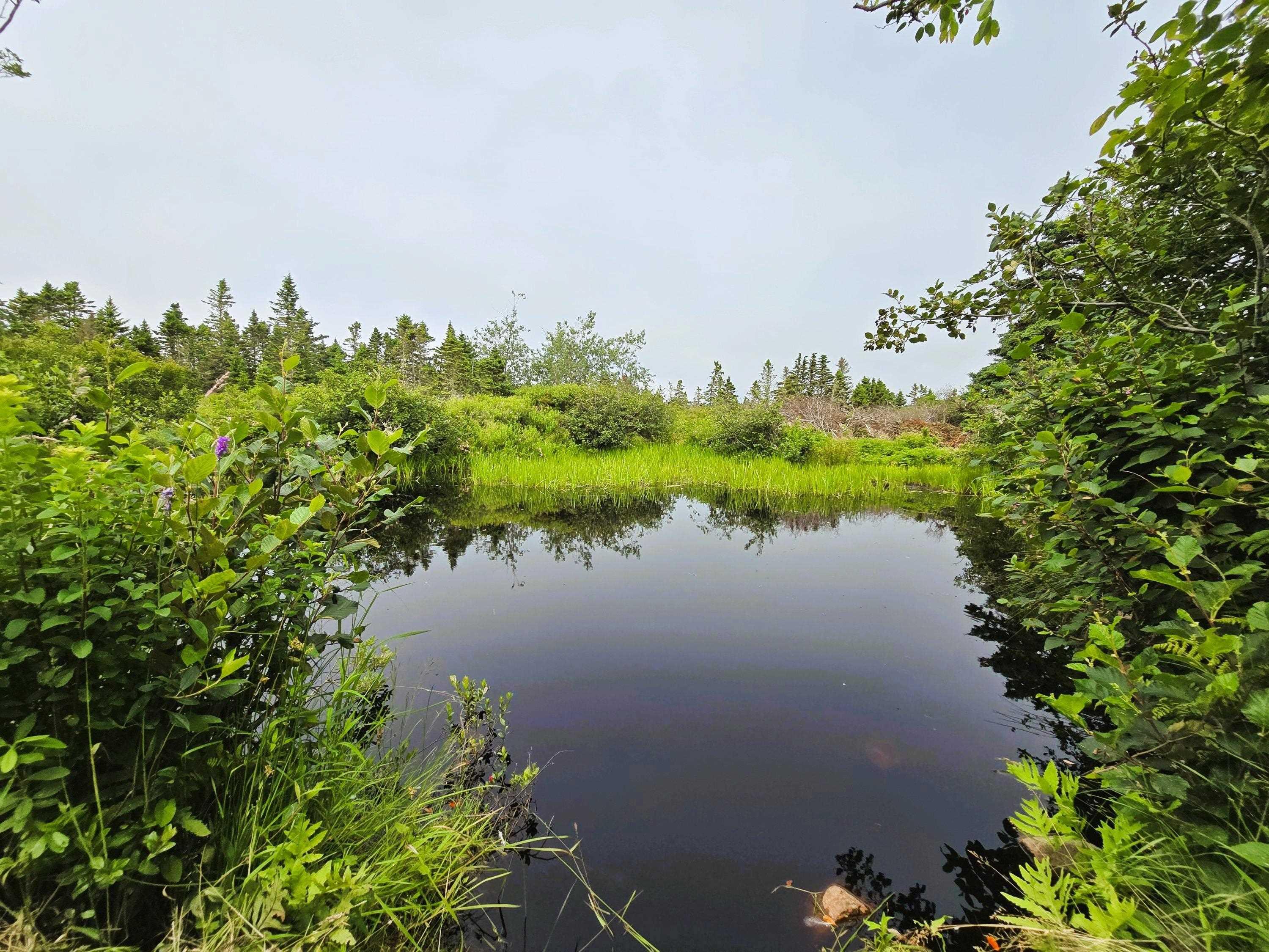 $139,900.00: 248 Chebogue Point Road, Chebogue Point