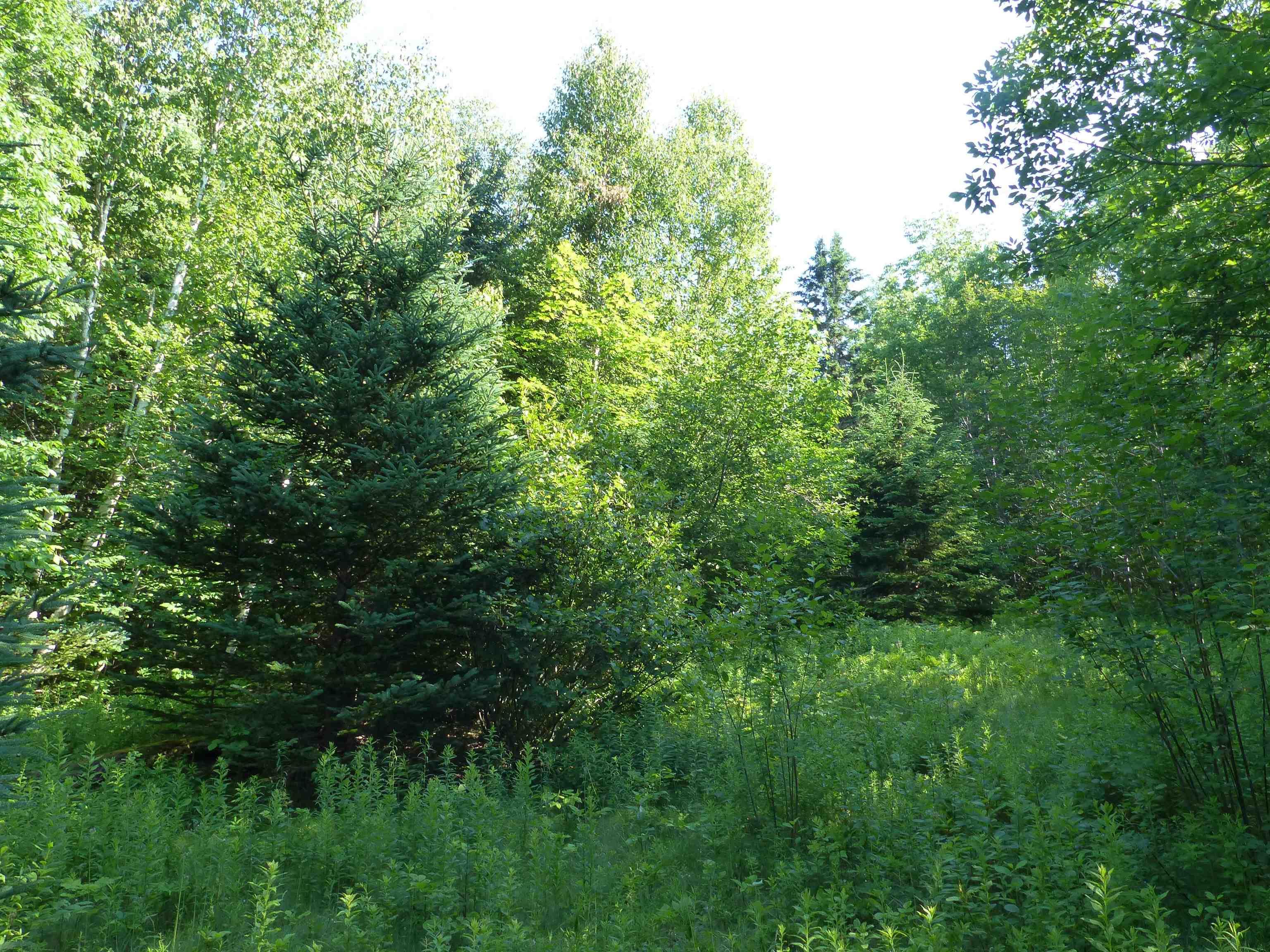 $119,000.00: Lot 1 Highway 1, Clementsport