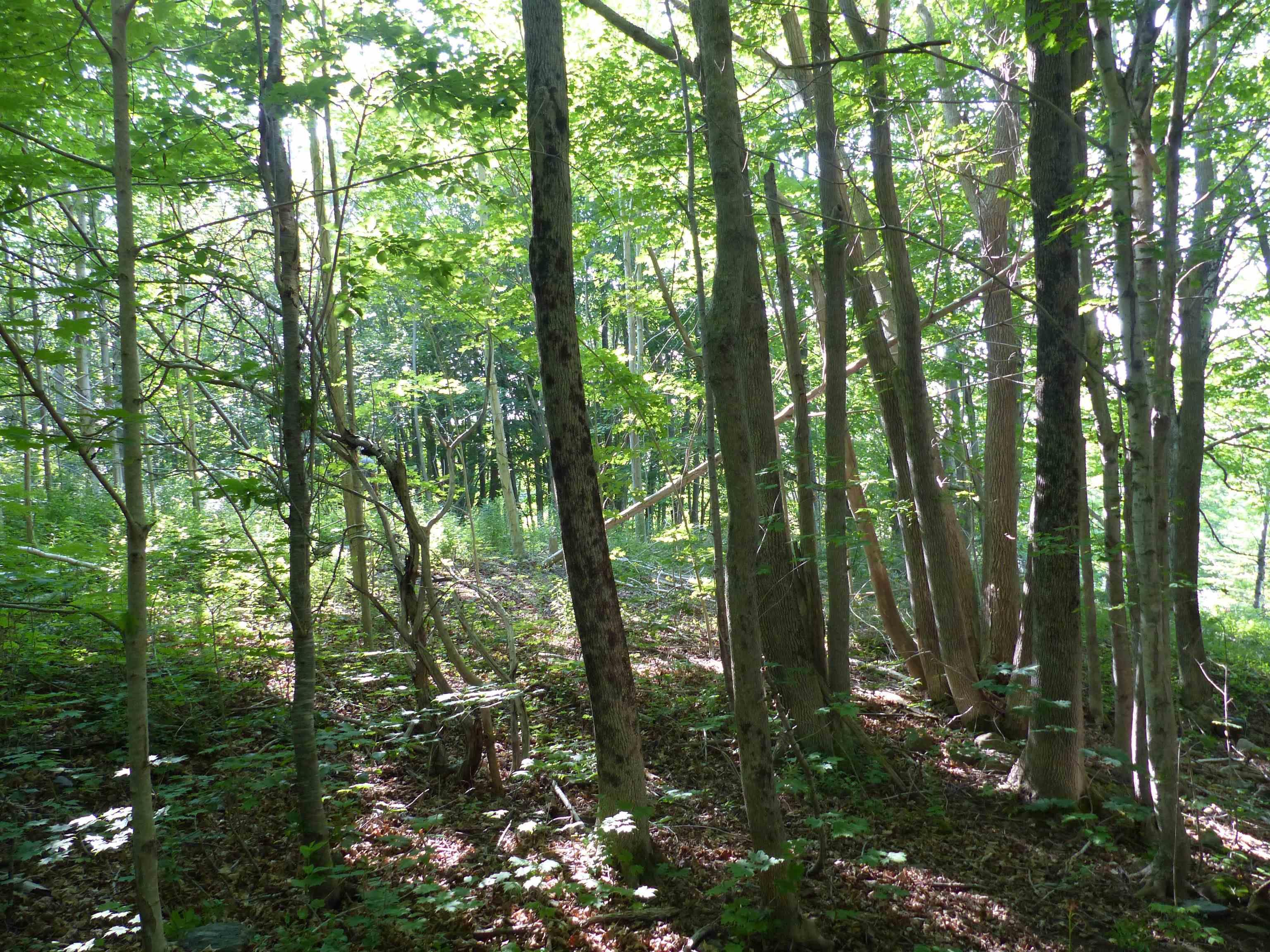 $119,000.00: Lot 1 Highway 1, Clementsport