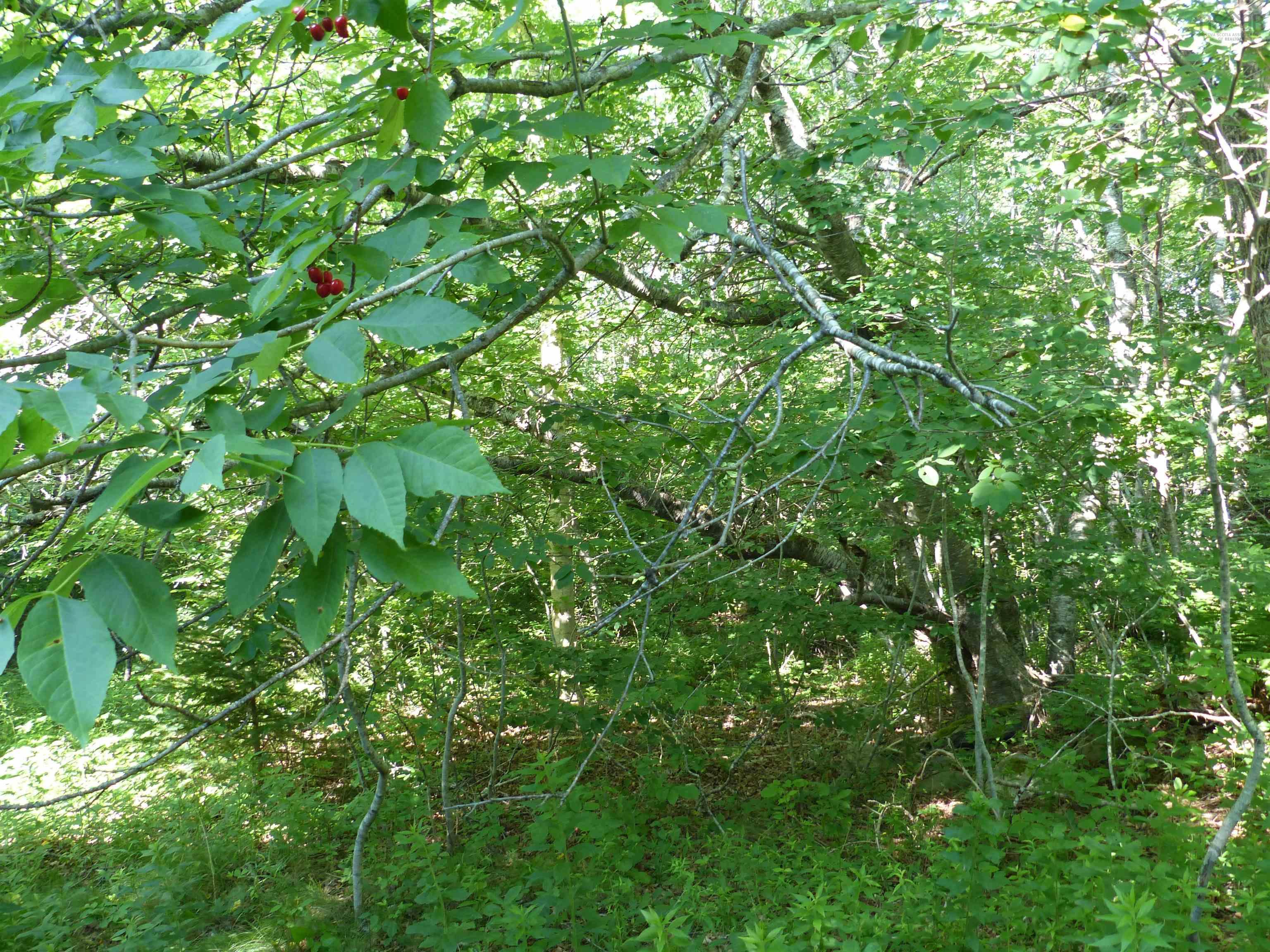 $119,000.00: Lot 1 Highway 1, Clementsport