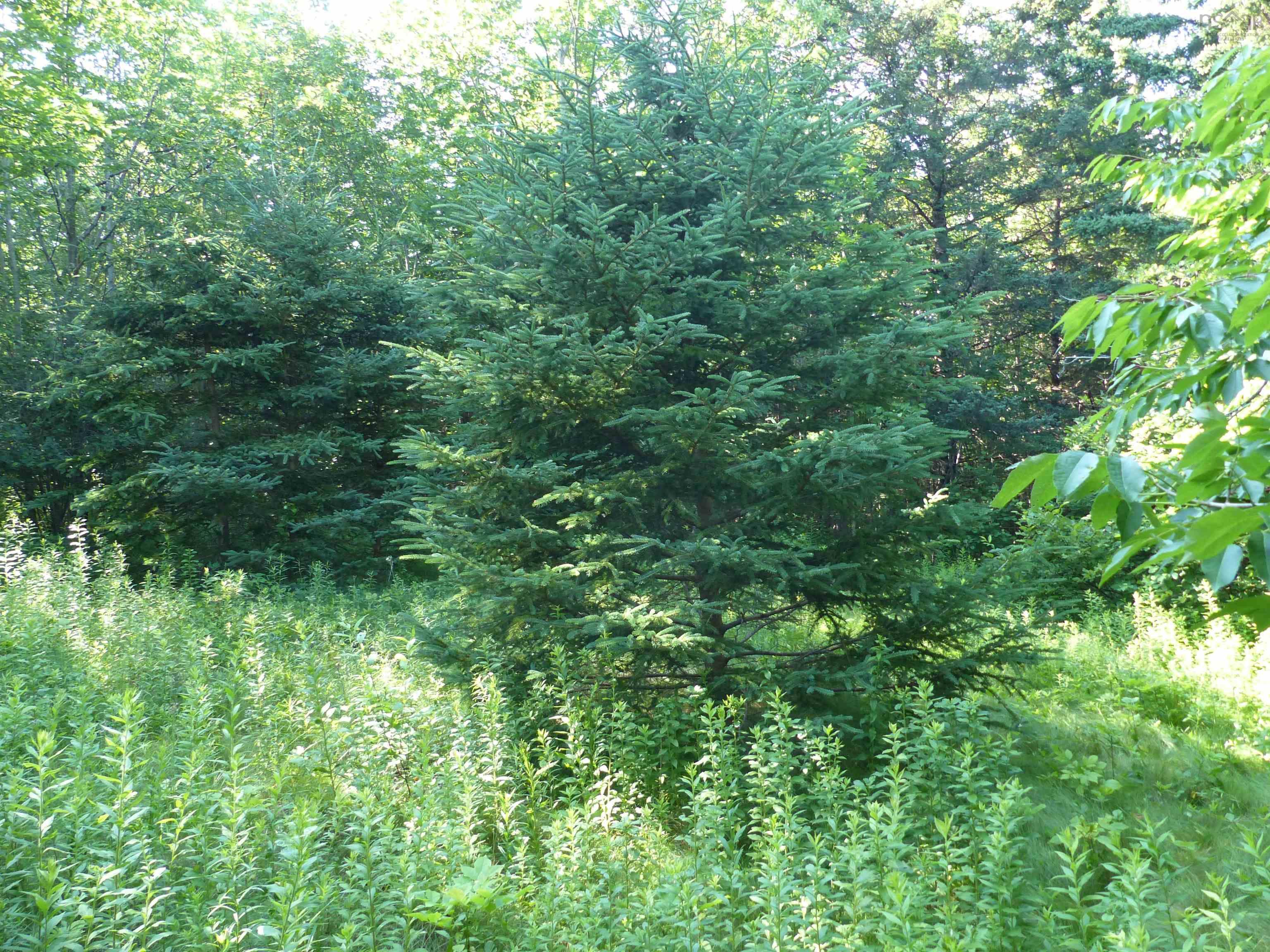 $119,000.00: Lot 1 Highway 1, Clementsport