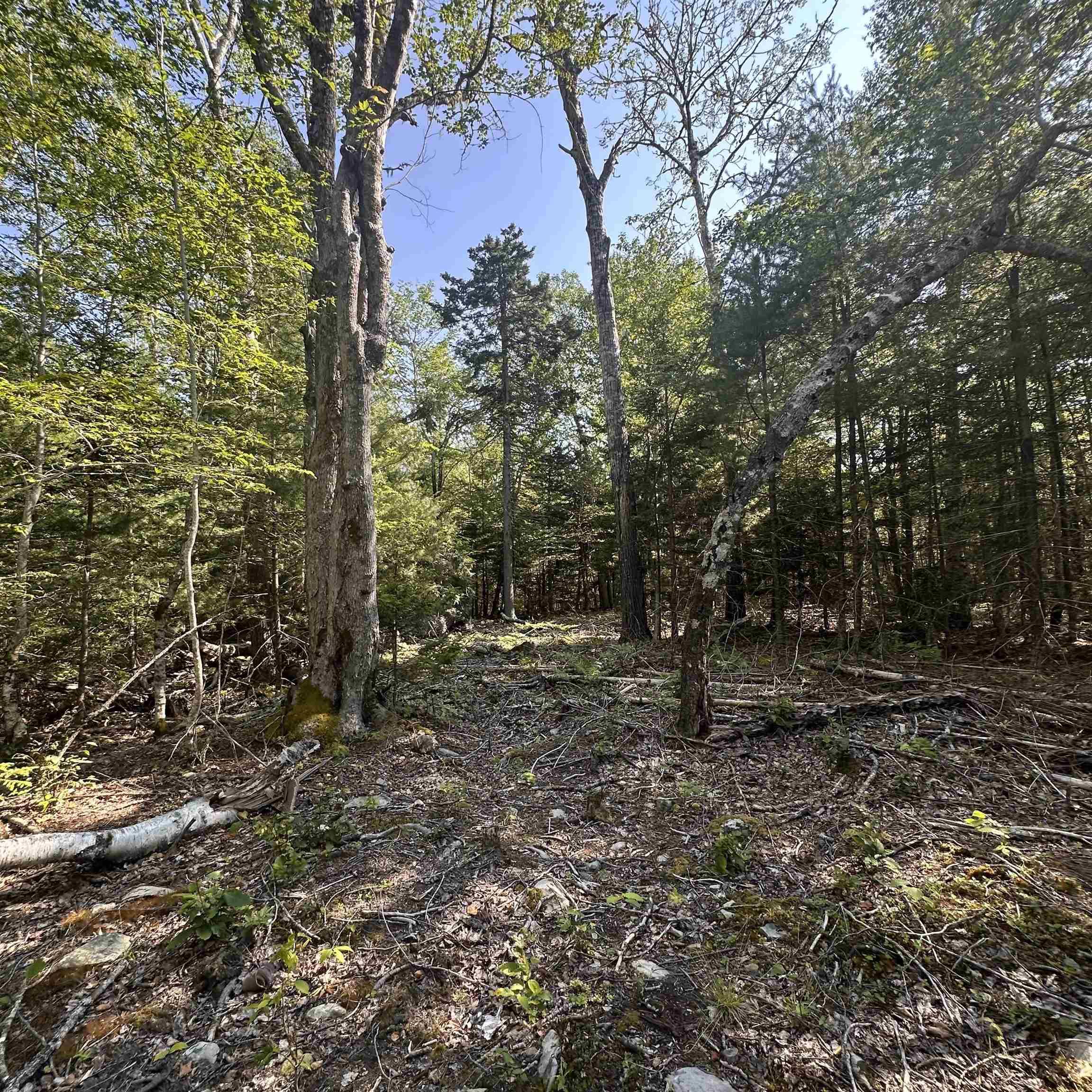 $21,900.00: Lot 51 Island View Terrace, Labelle