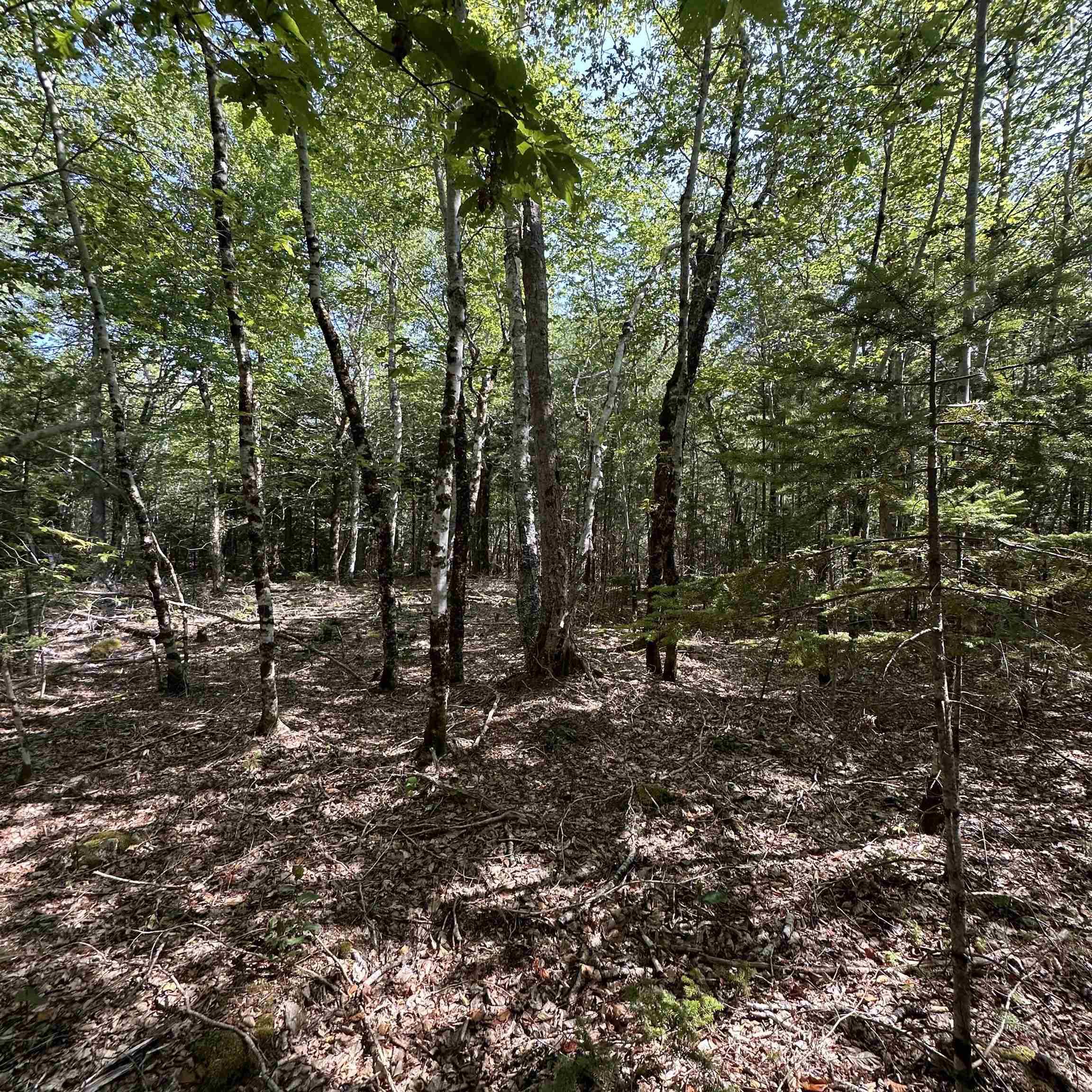 $21,900.00: Lot 51 Island View Terrace, Labelle