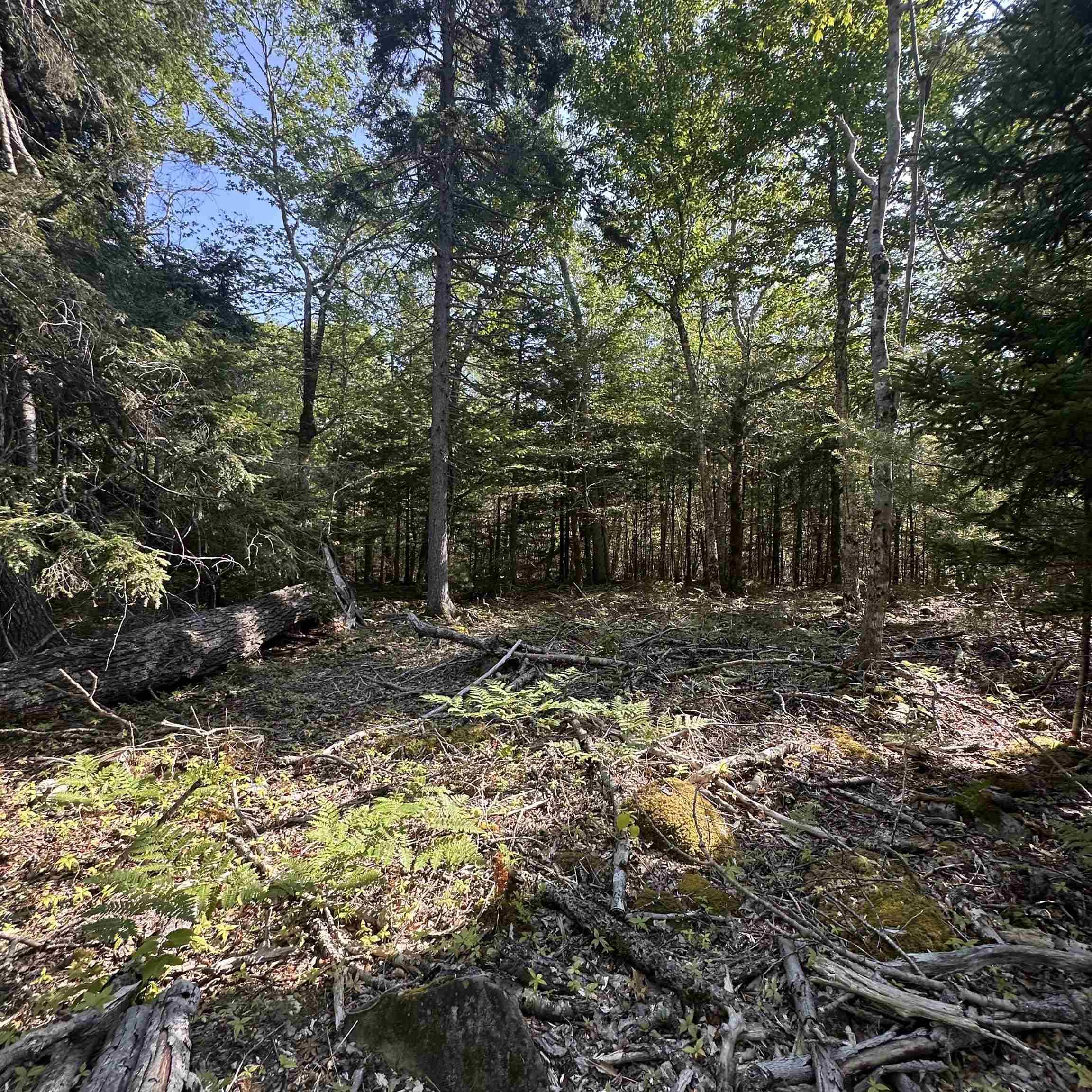 $21,900.00: Lot 51 Island View Terrace, Labelle