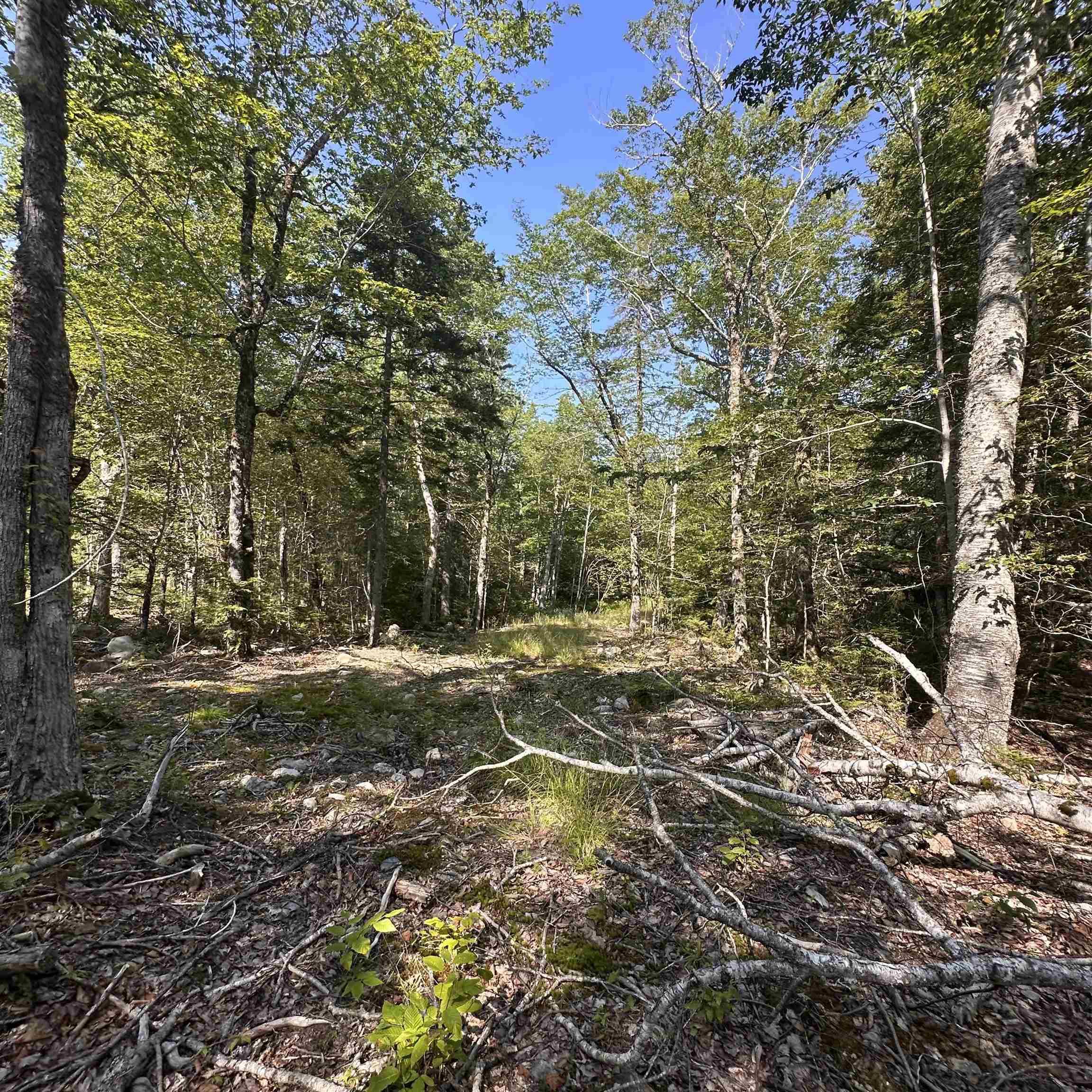 $21,900.00: Lot 51 Island View Terrace, Labelle