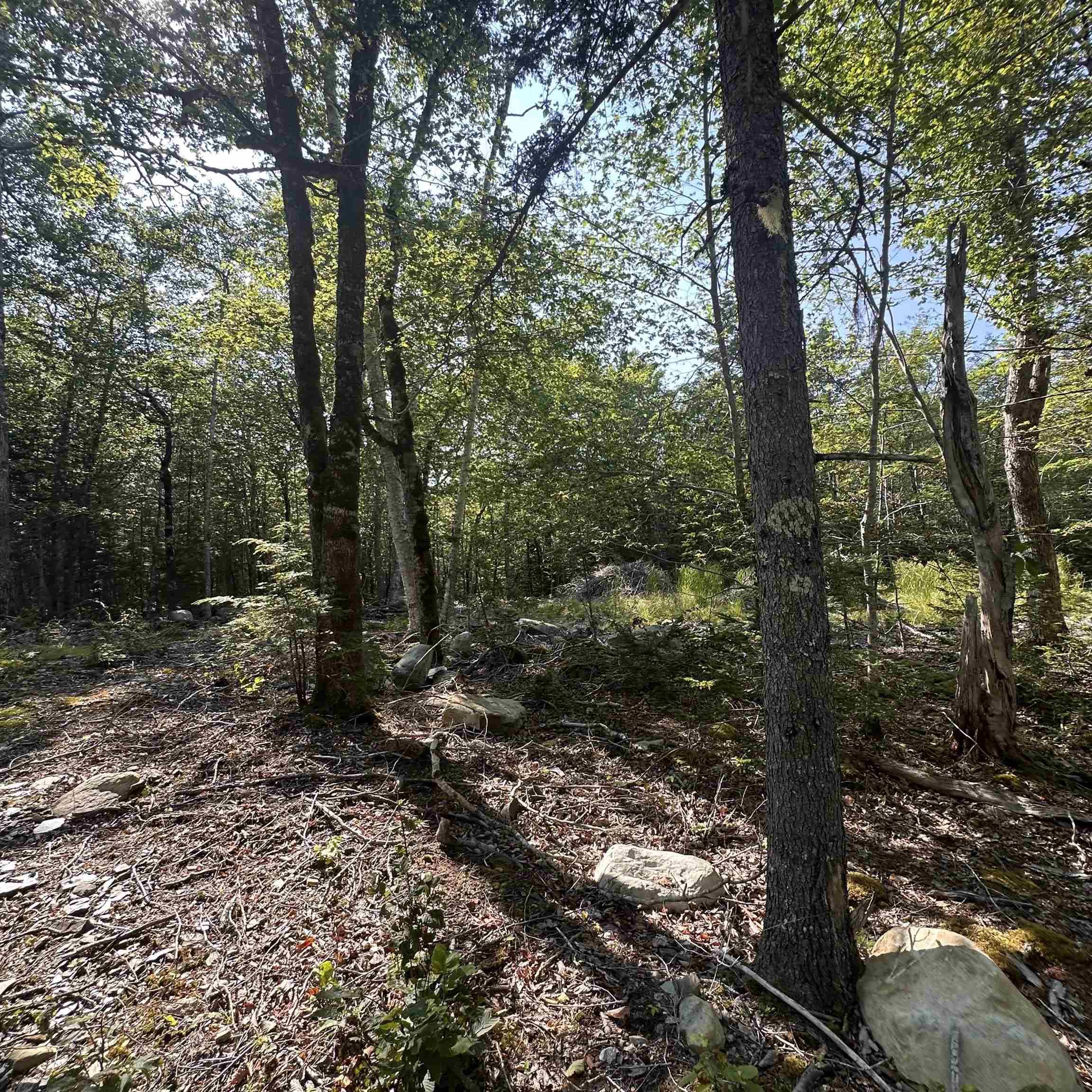 $19,900.00: Lot 49 Island View Terrace, Labelle