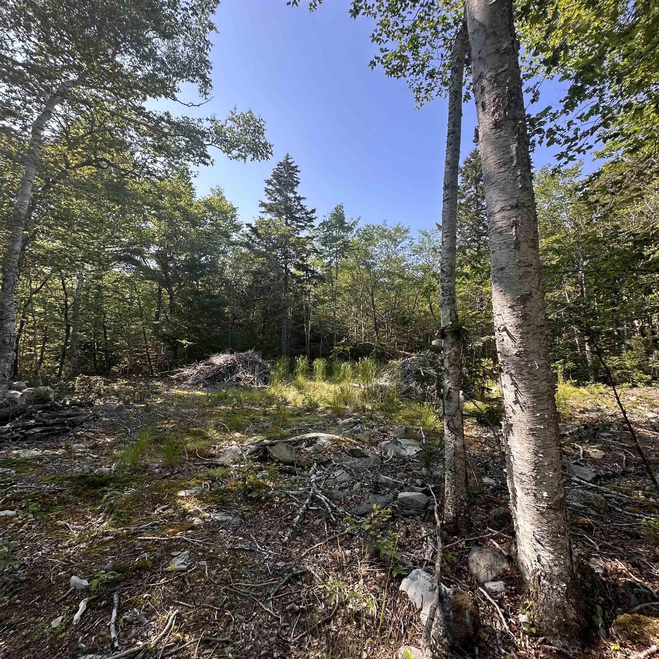 $19,900.00: Lot 49 Island View Terrace, Labelle