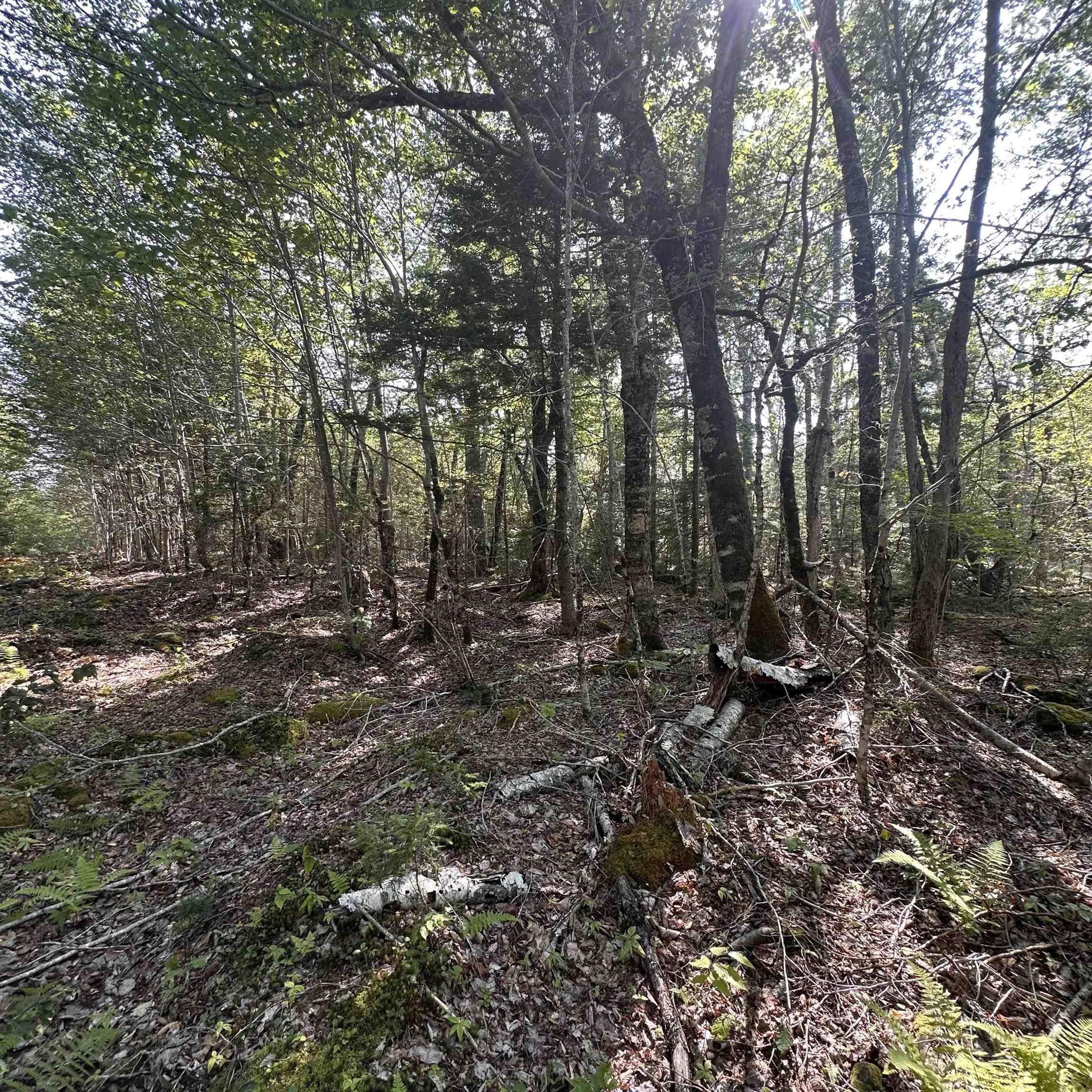 $19,900.00: Lot 49 Island View Terrace, Labelle