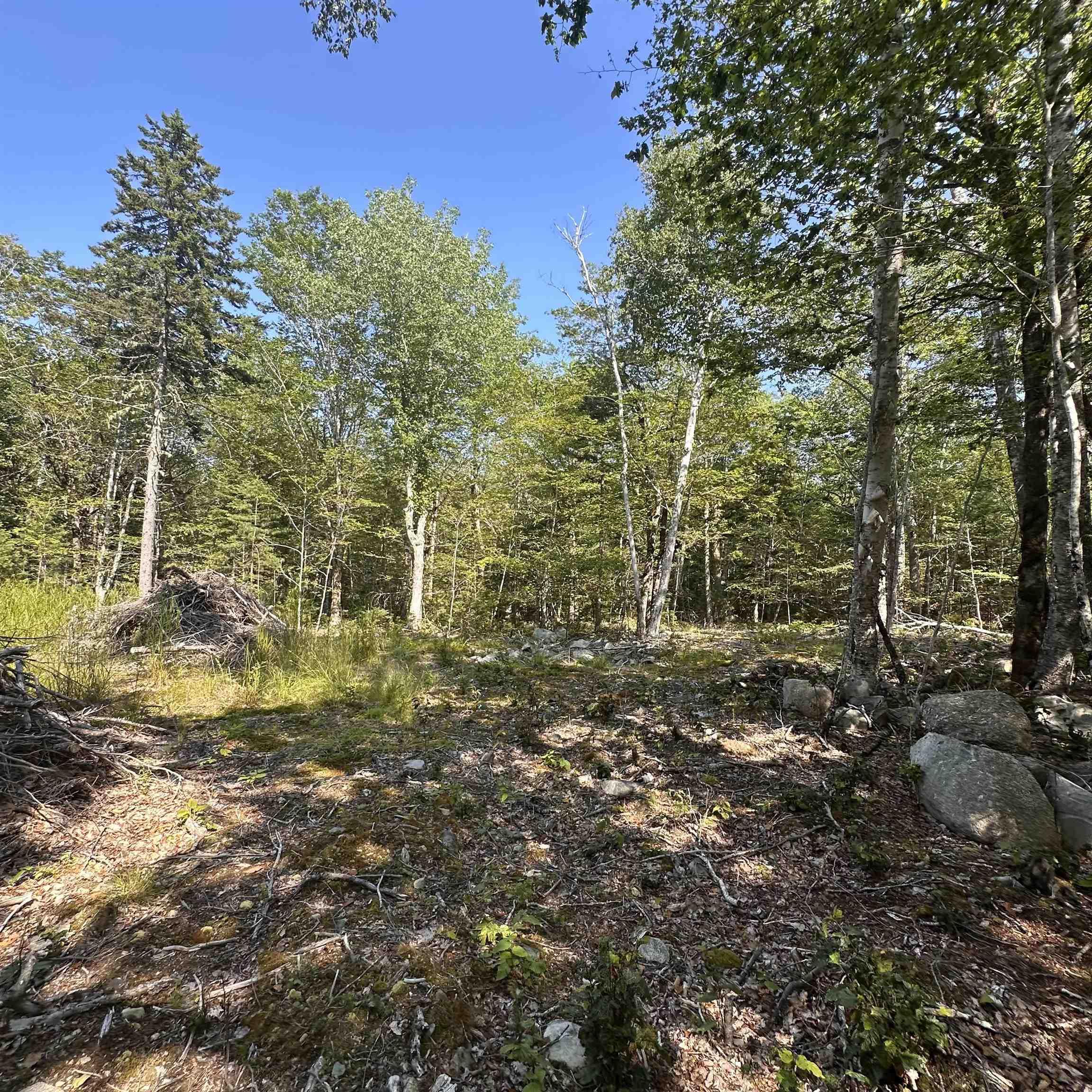 $19,900.00: Lot 49 Island View Terrace, Labelle