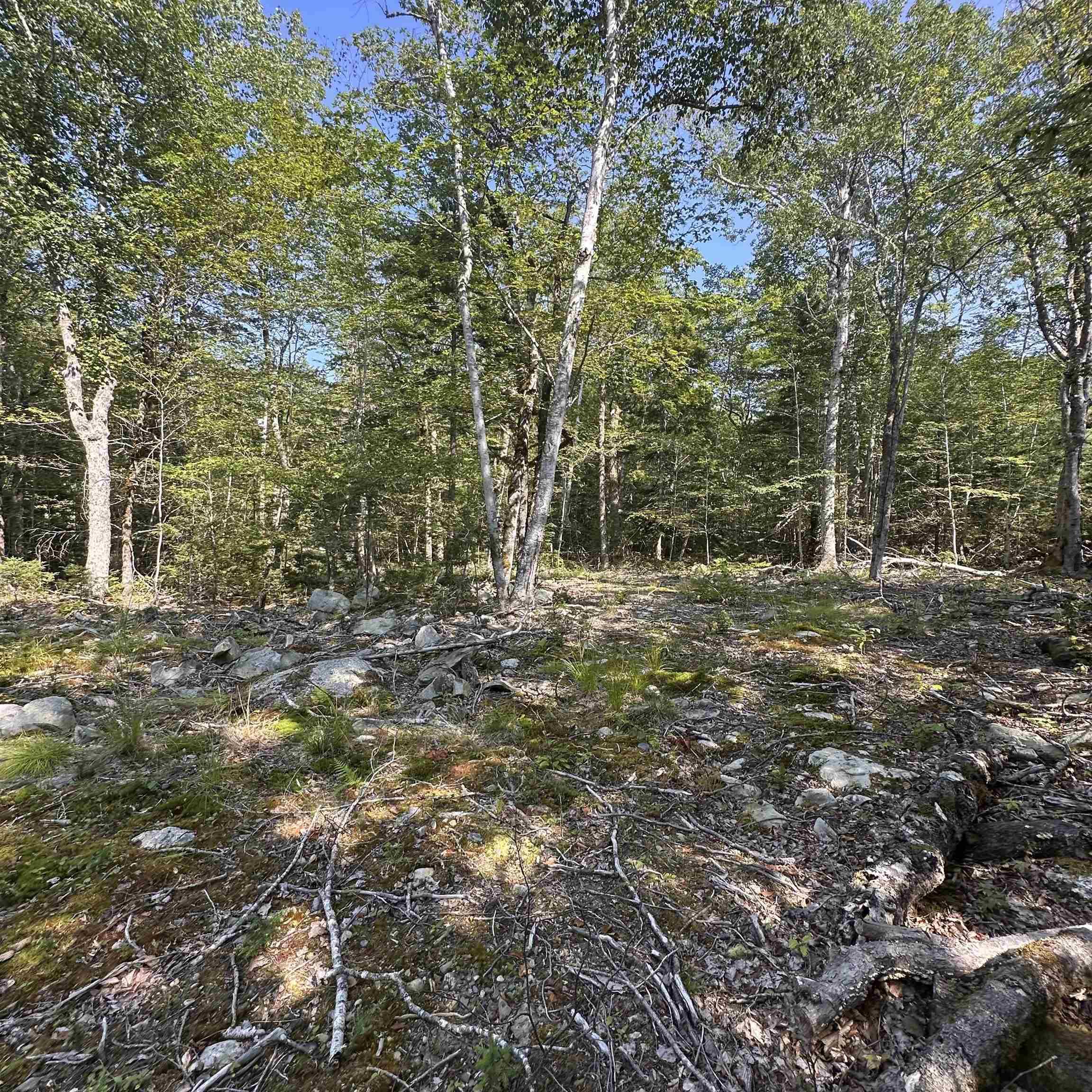 $19,900.00: Lot 49 Island View Terrace, Labelle