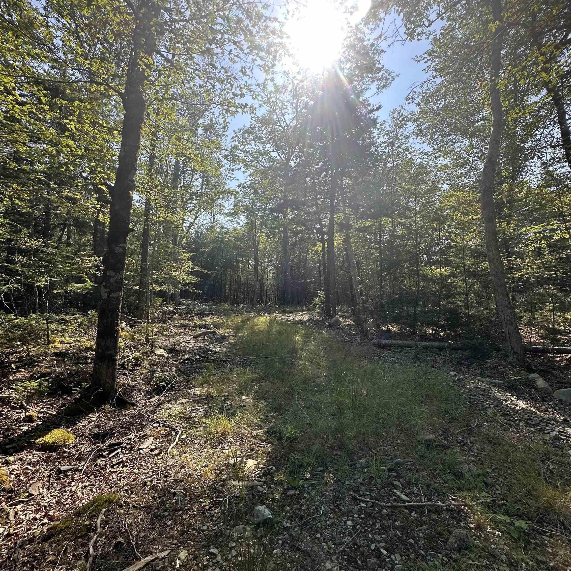 $19,900.00: Lot 49 Island View Terrace, Labelle