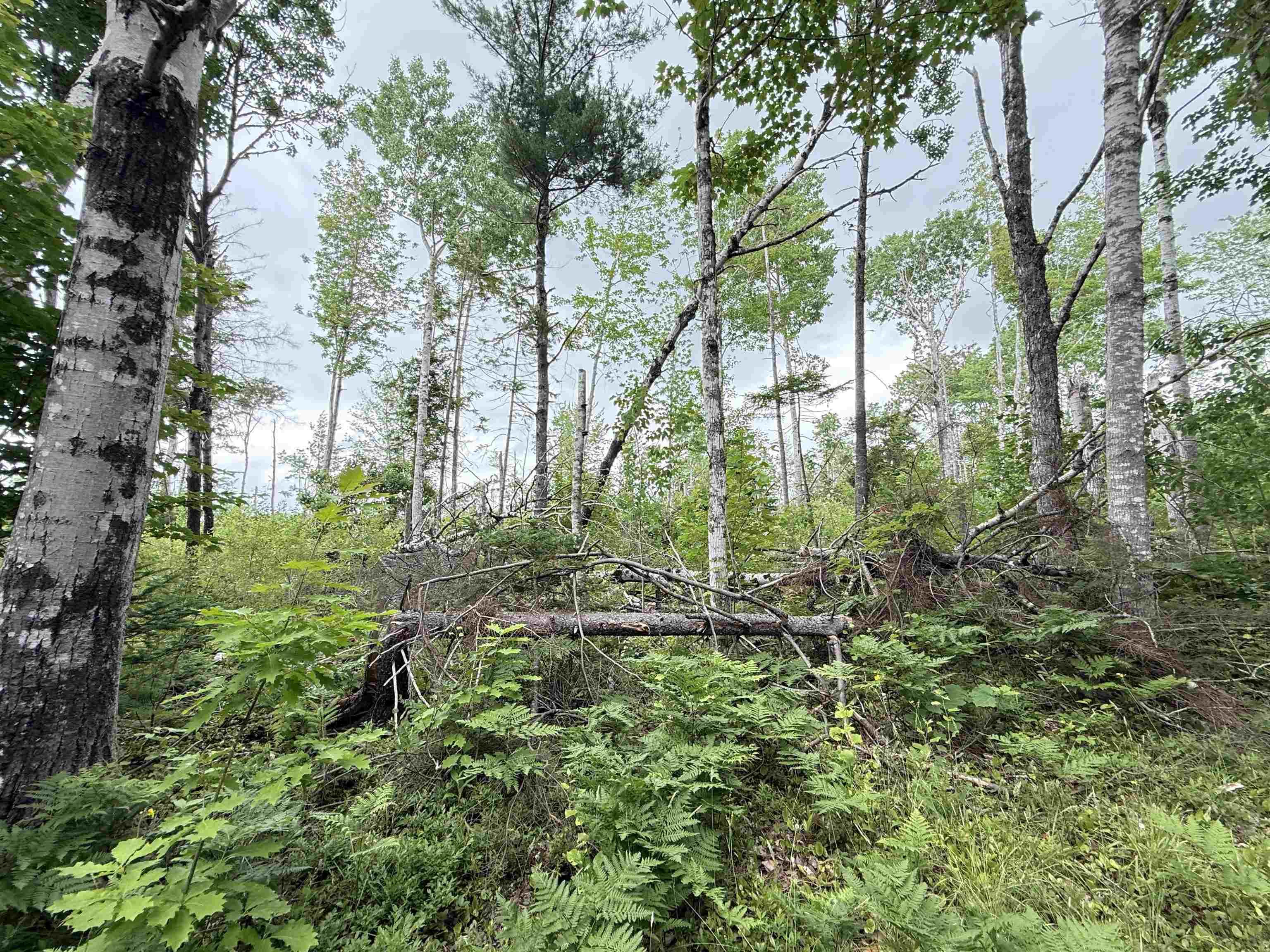 $75,000.00: 50acres Highway 326, Denmark