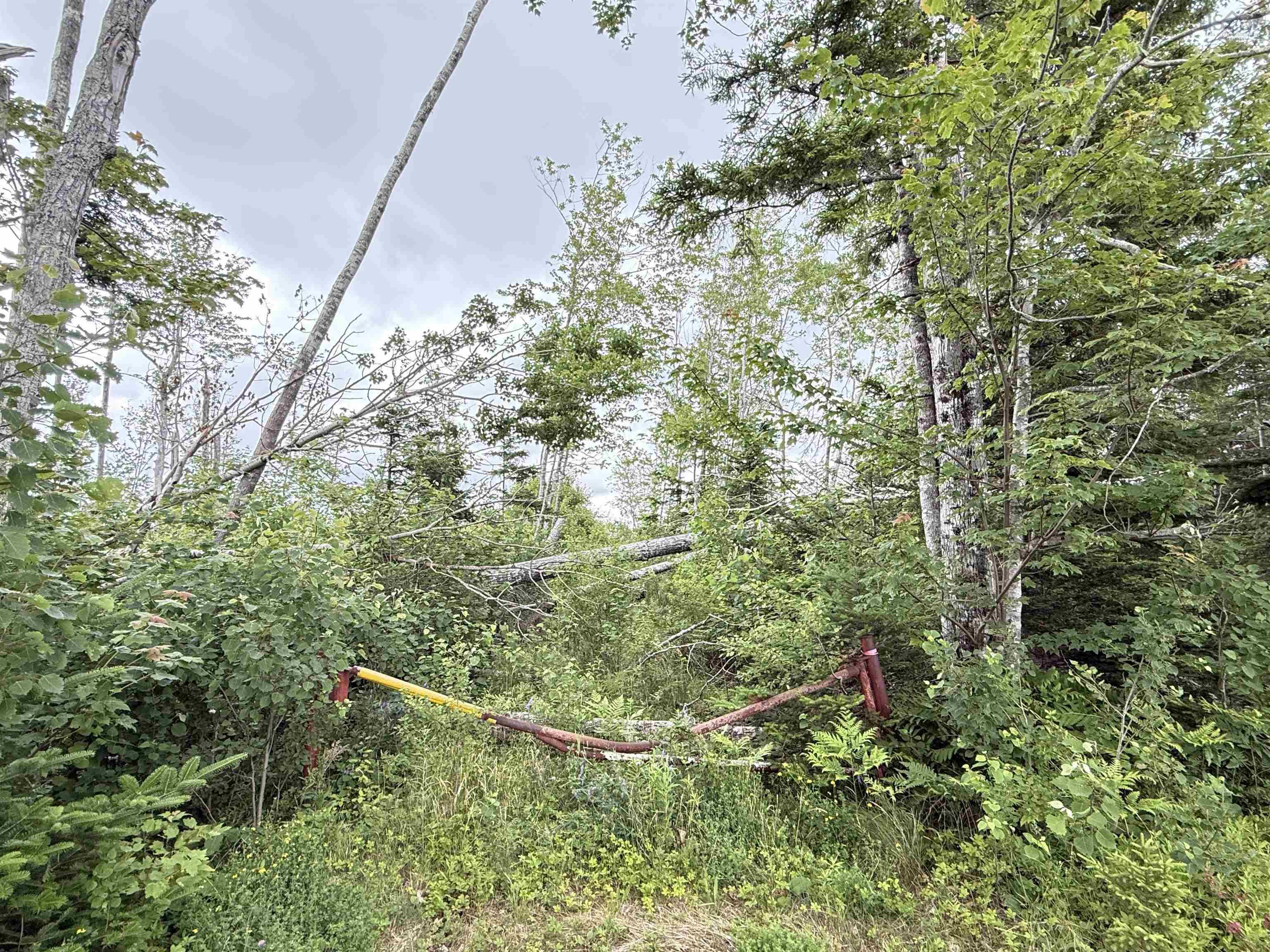 $75,000.00: 50acres Highway 326, Denmark