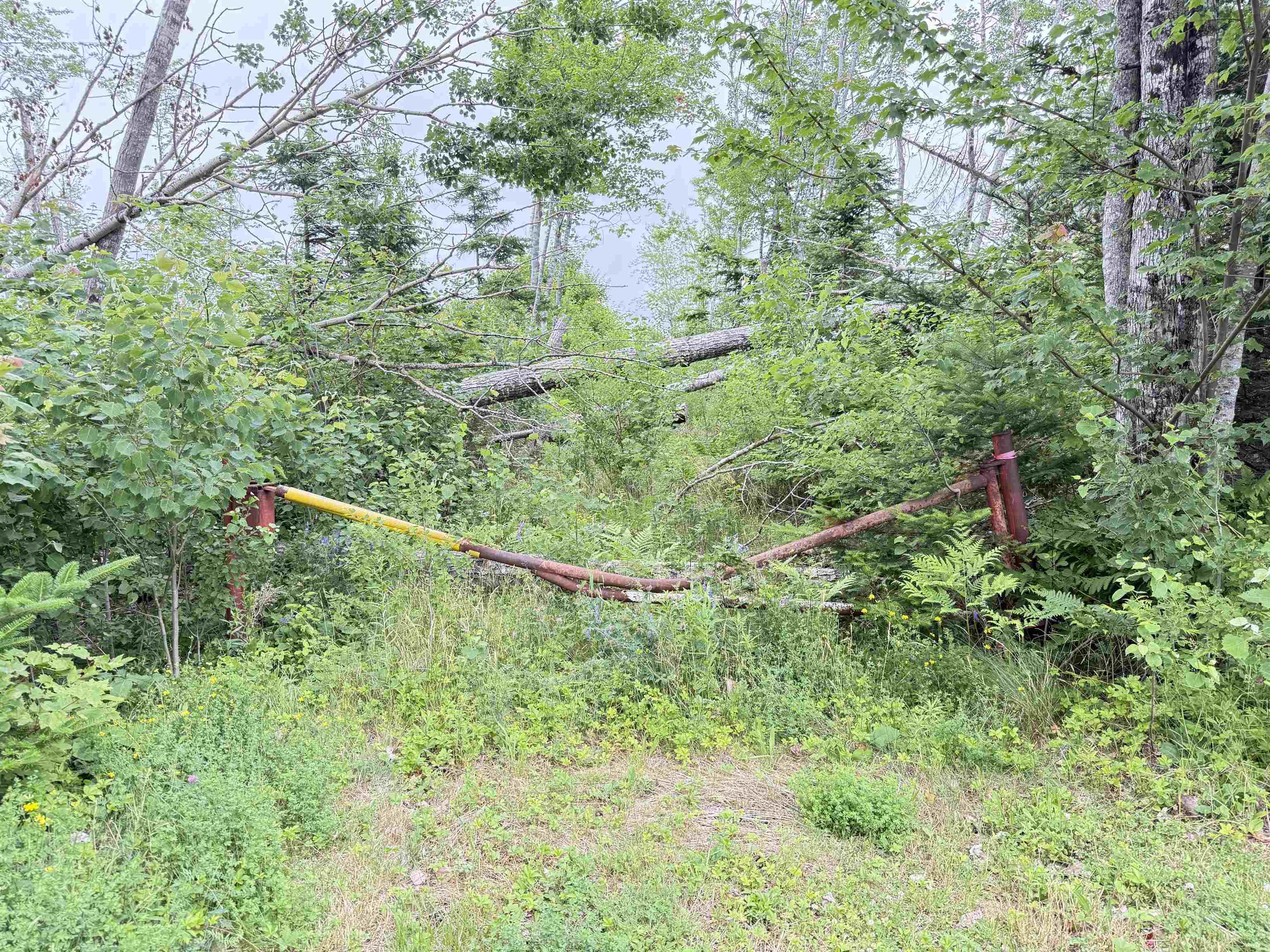 $75,000.00: 50acres Highway 326, Denmark