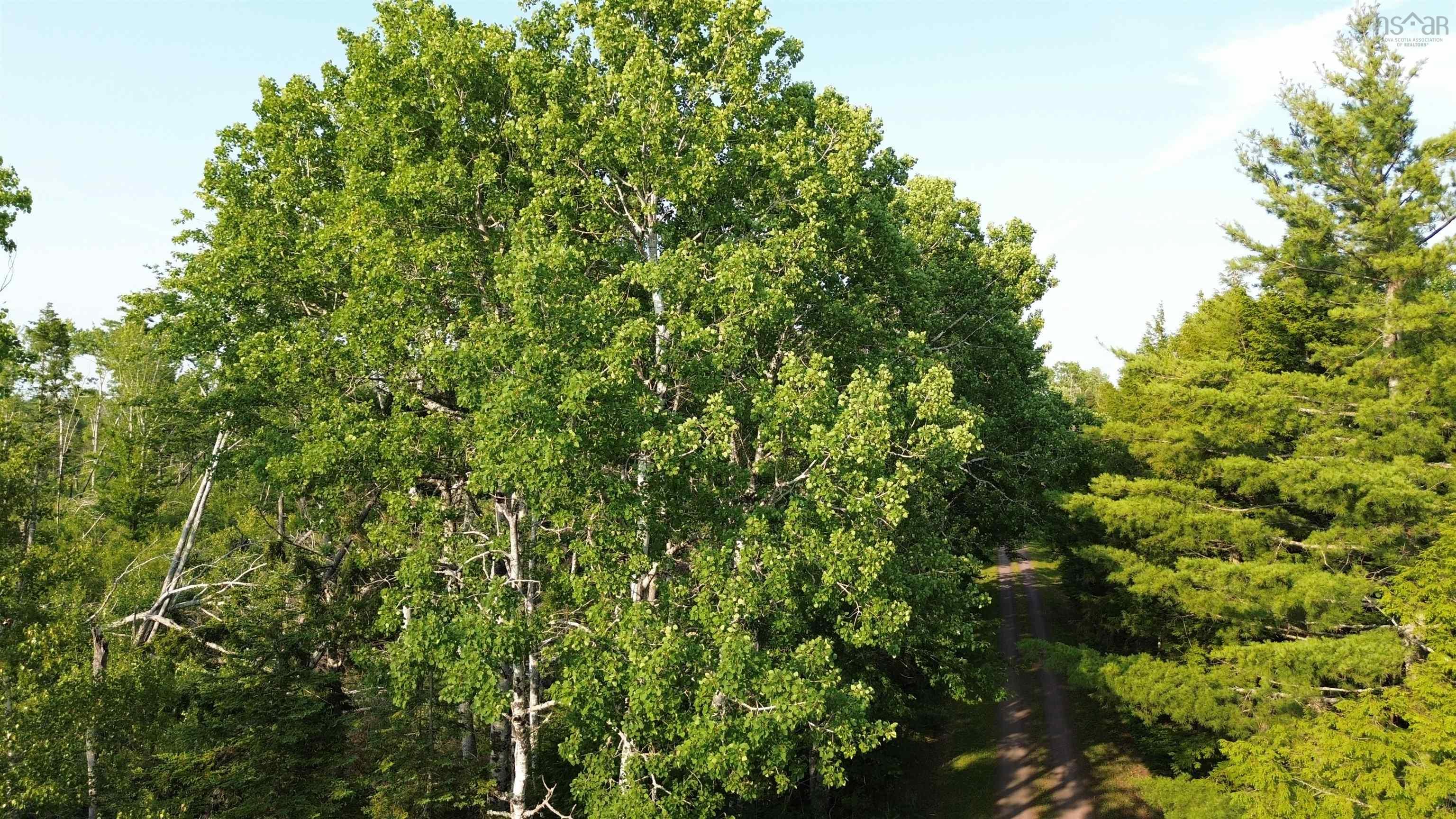 $75,000.00: 50acres Highway 326, Denmark