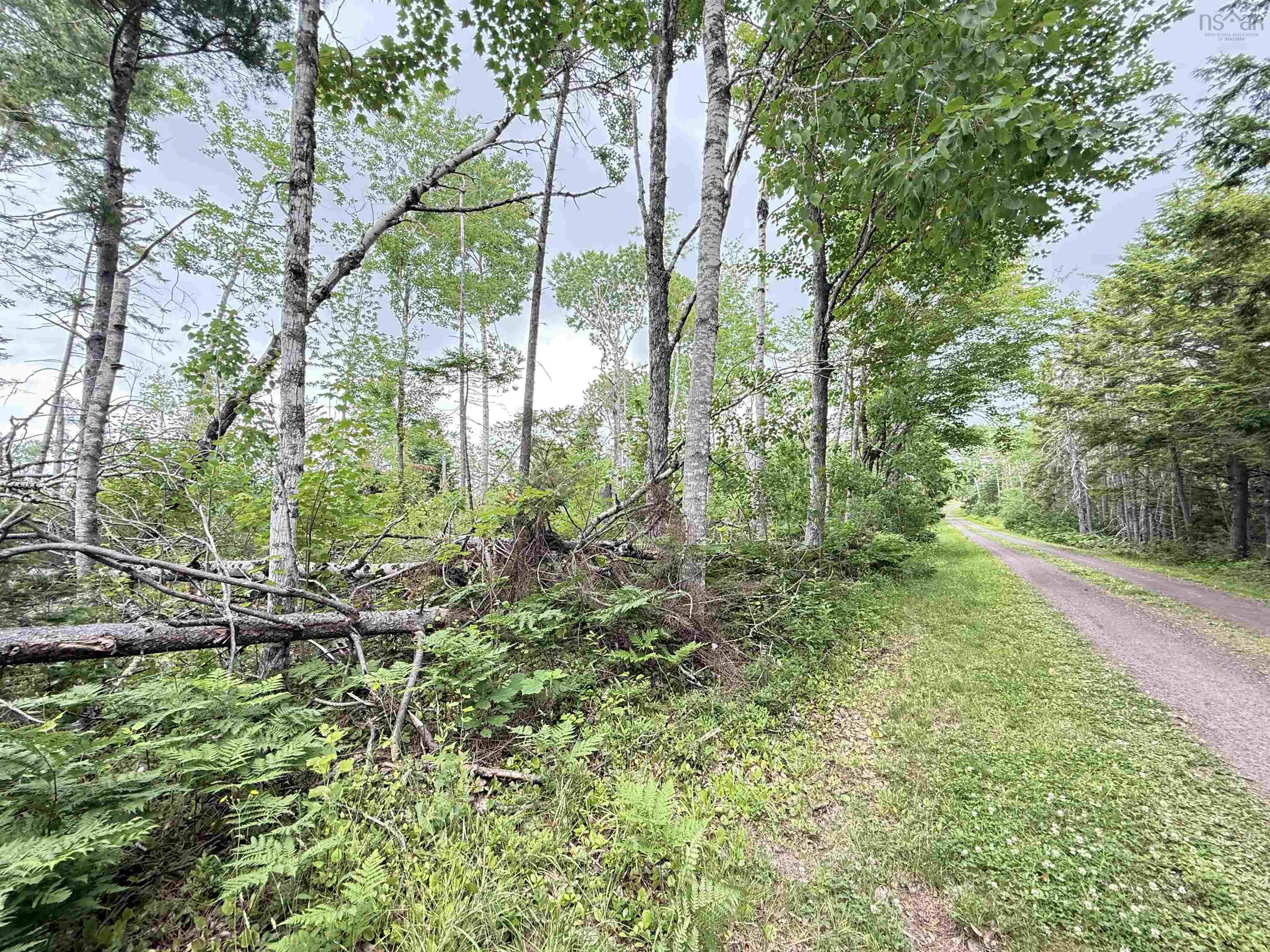 $75,000.00: 50acres Highway 326, Denmark