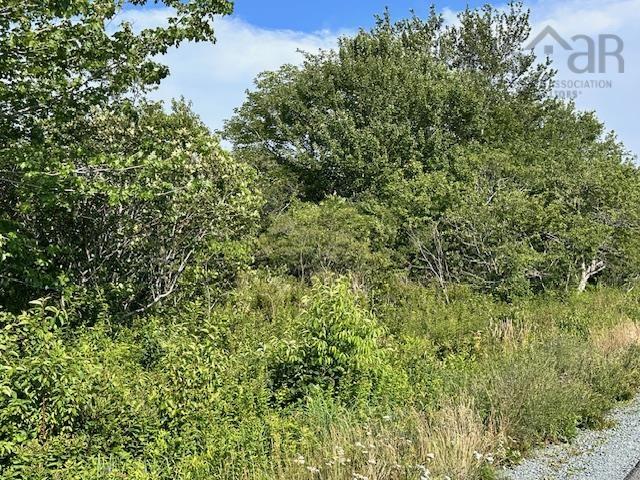 $39,900.00: Lot 5 Shore Road, Western Head