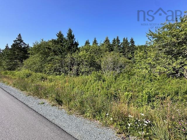 $39,900.00: Lot 3 Shore Road, Western Head